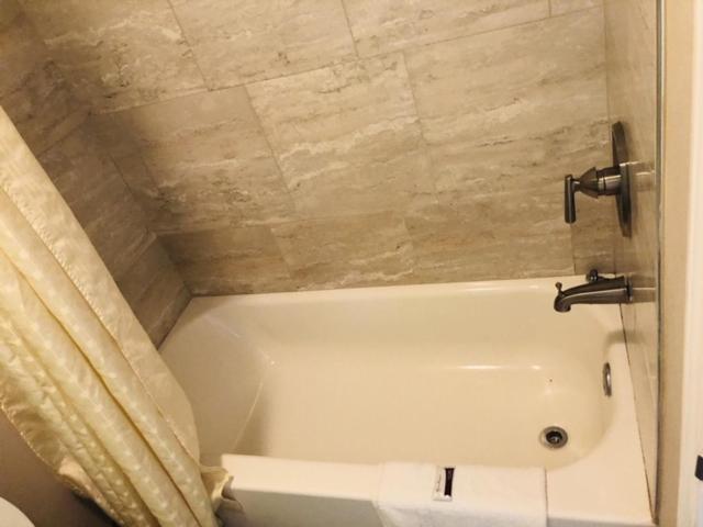 Flamingo Beach Inn view 4