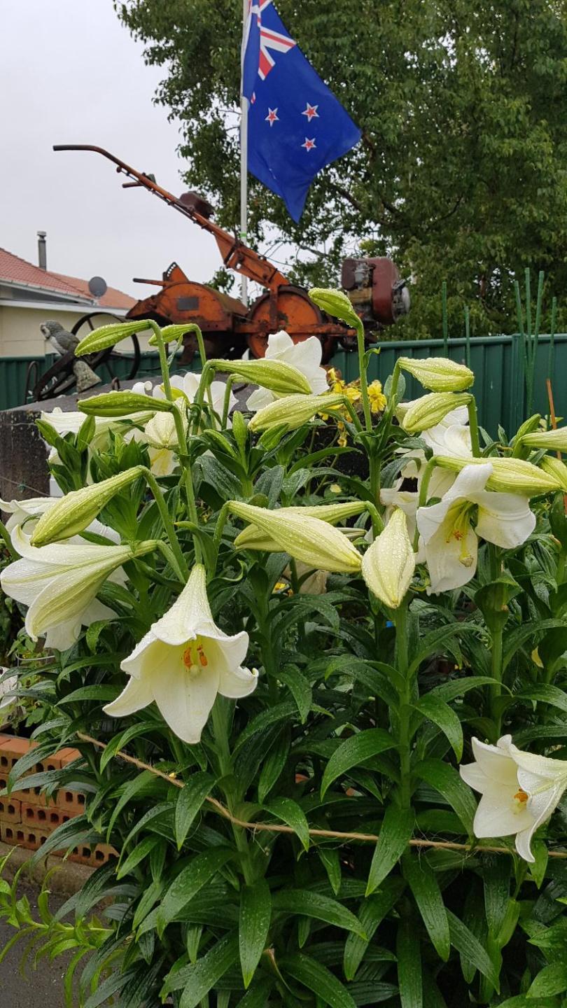 Photo 17