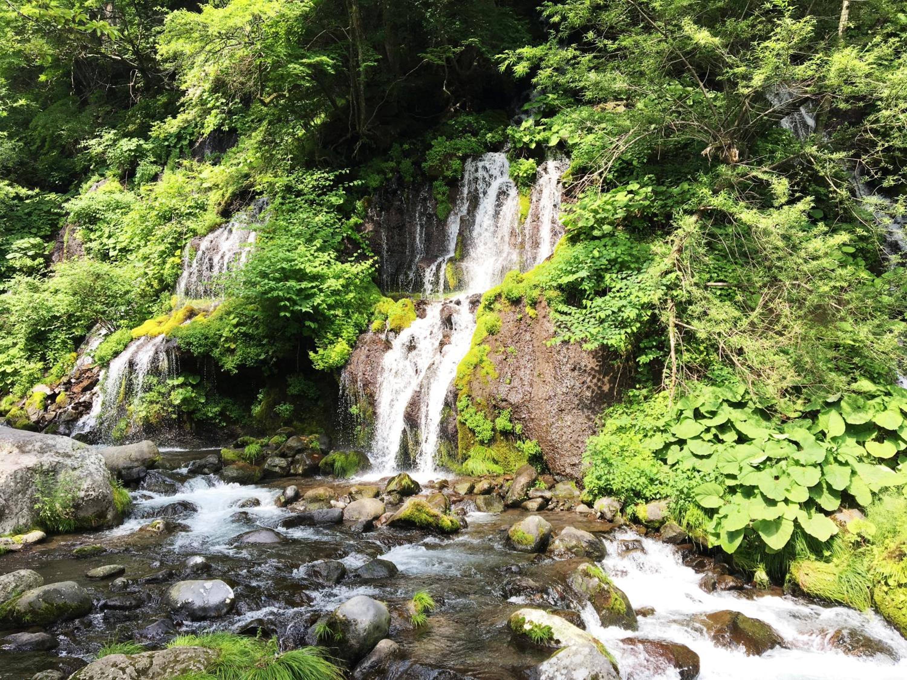 Photo 43