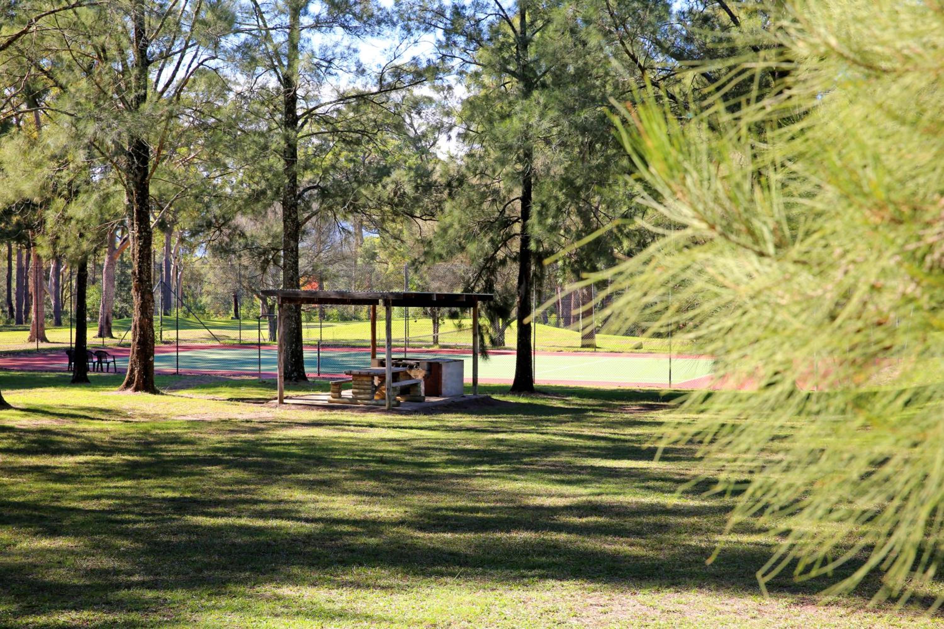 Siver Cabin