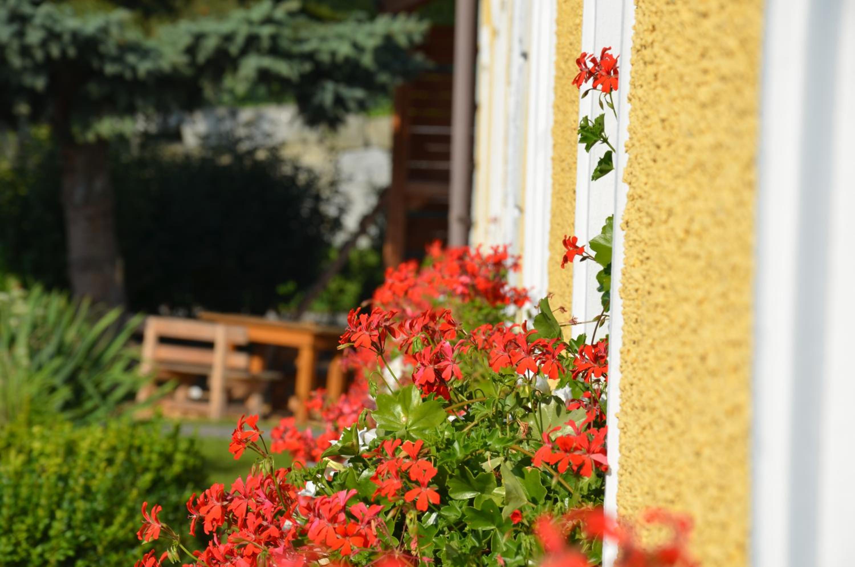 Lindenhof- Fam. Forstmayr