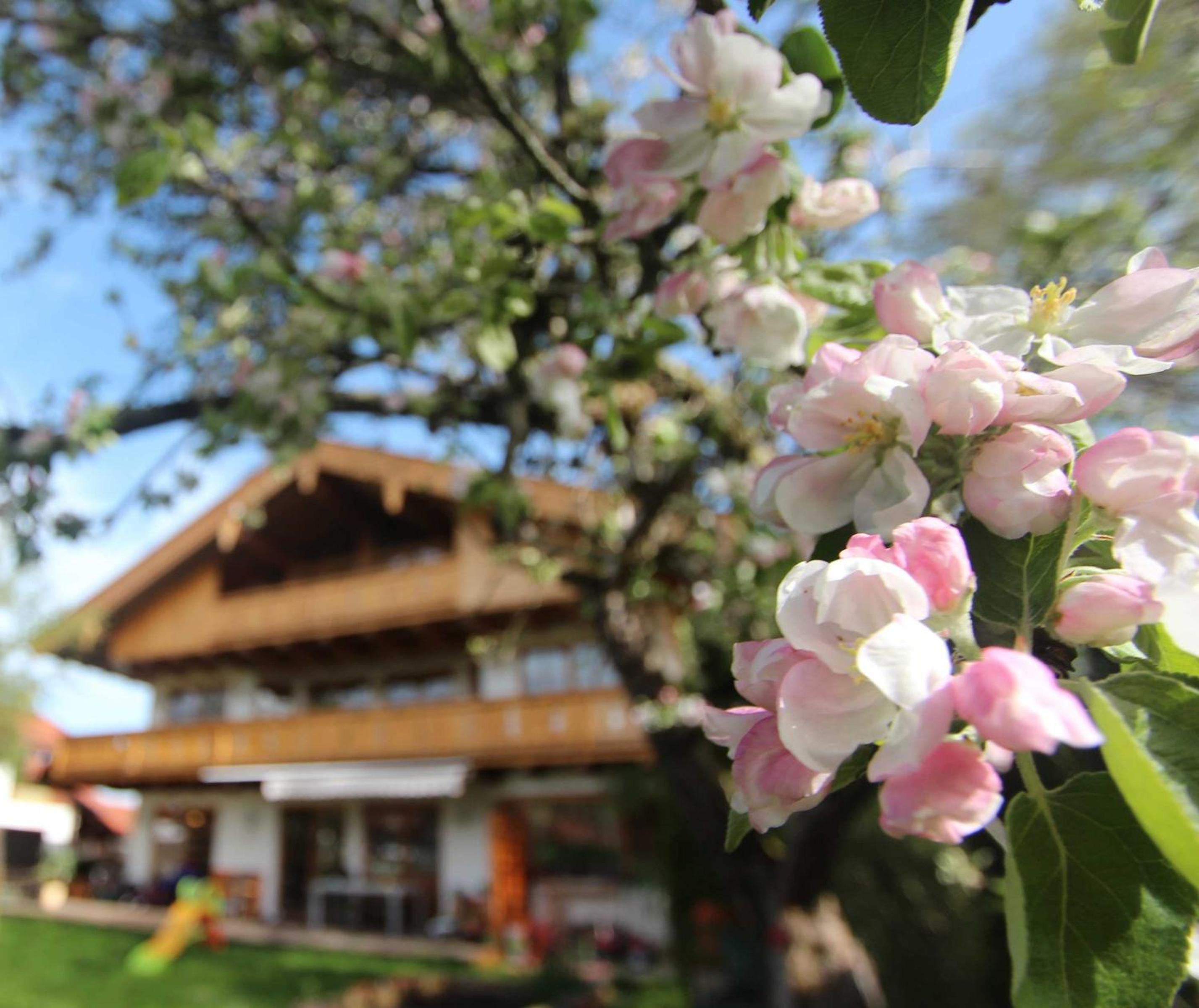 Appartementhaus Schirsner - direkt am See & am Kurpark