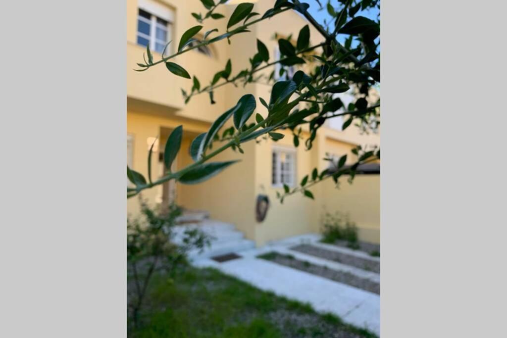 VIVE JEREZ Casa de lujo con piscina y barbacoa en la mejor zona de Jerez de la Frontera view 5