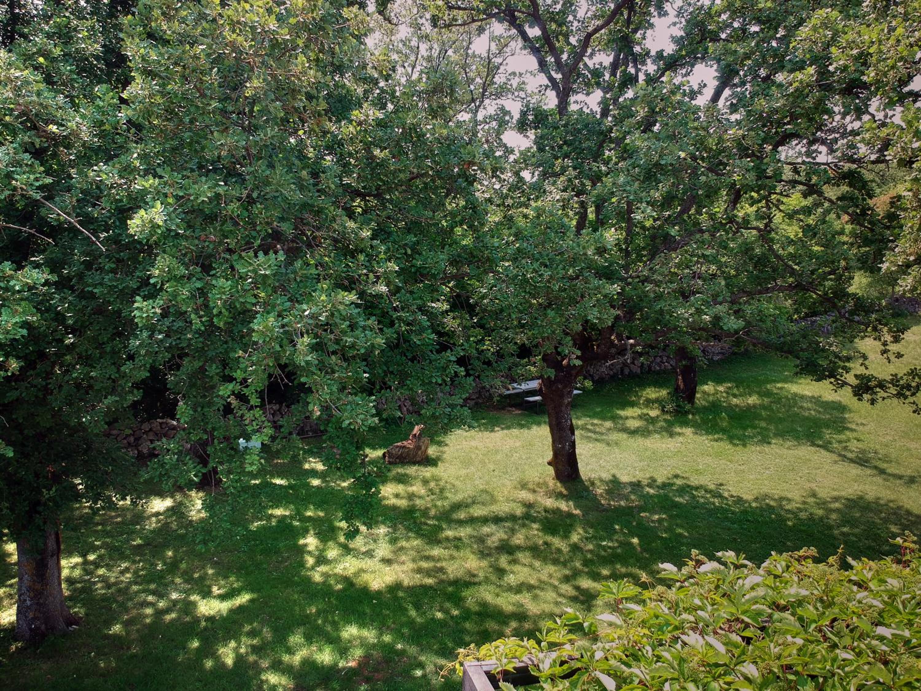 Photo 26
