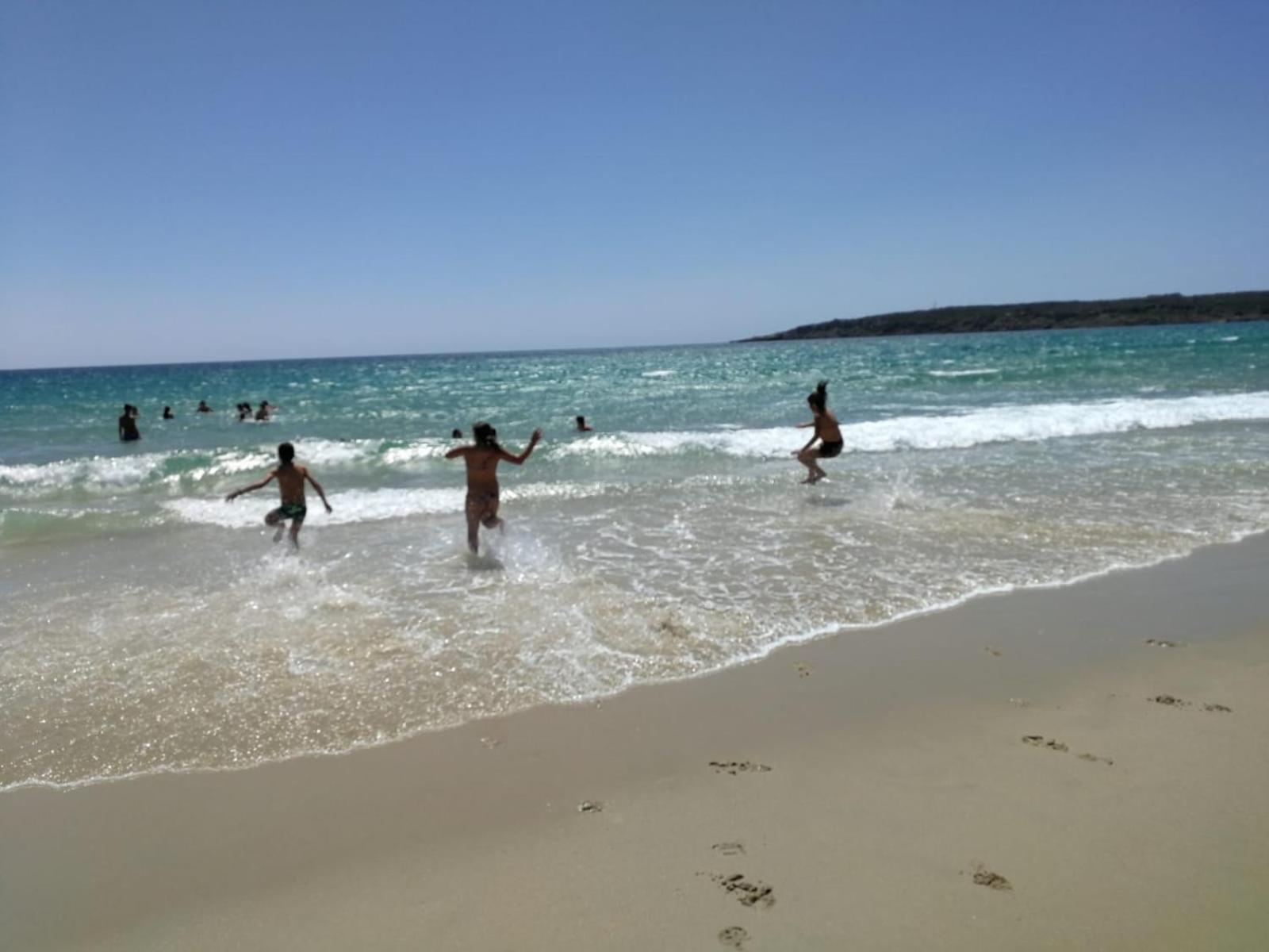 Photo 6