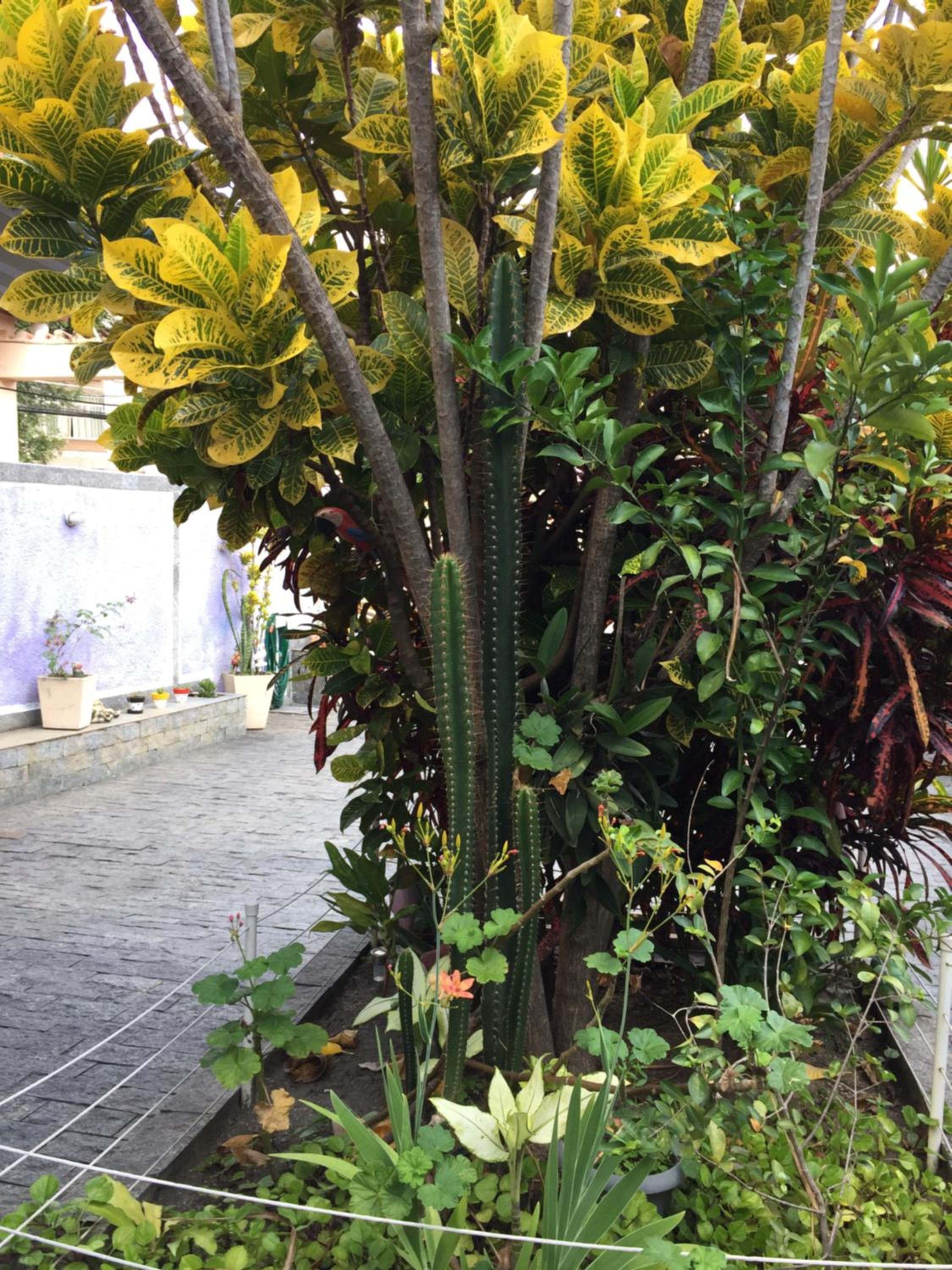Casa aconchegante em Vila Valqueire