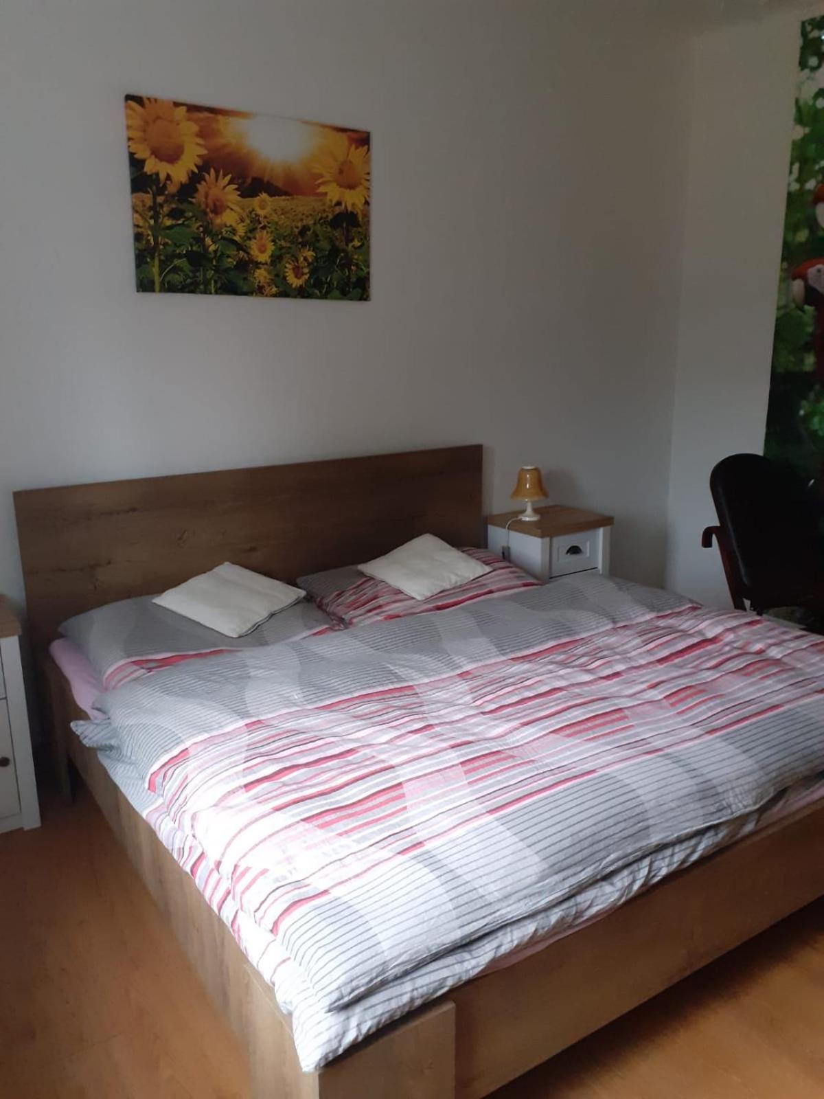 Apartman Ema view 3