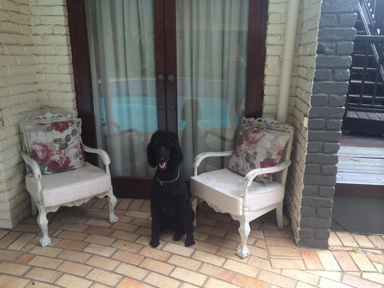 Seaview Place Bed and Breakfast