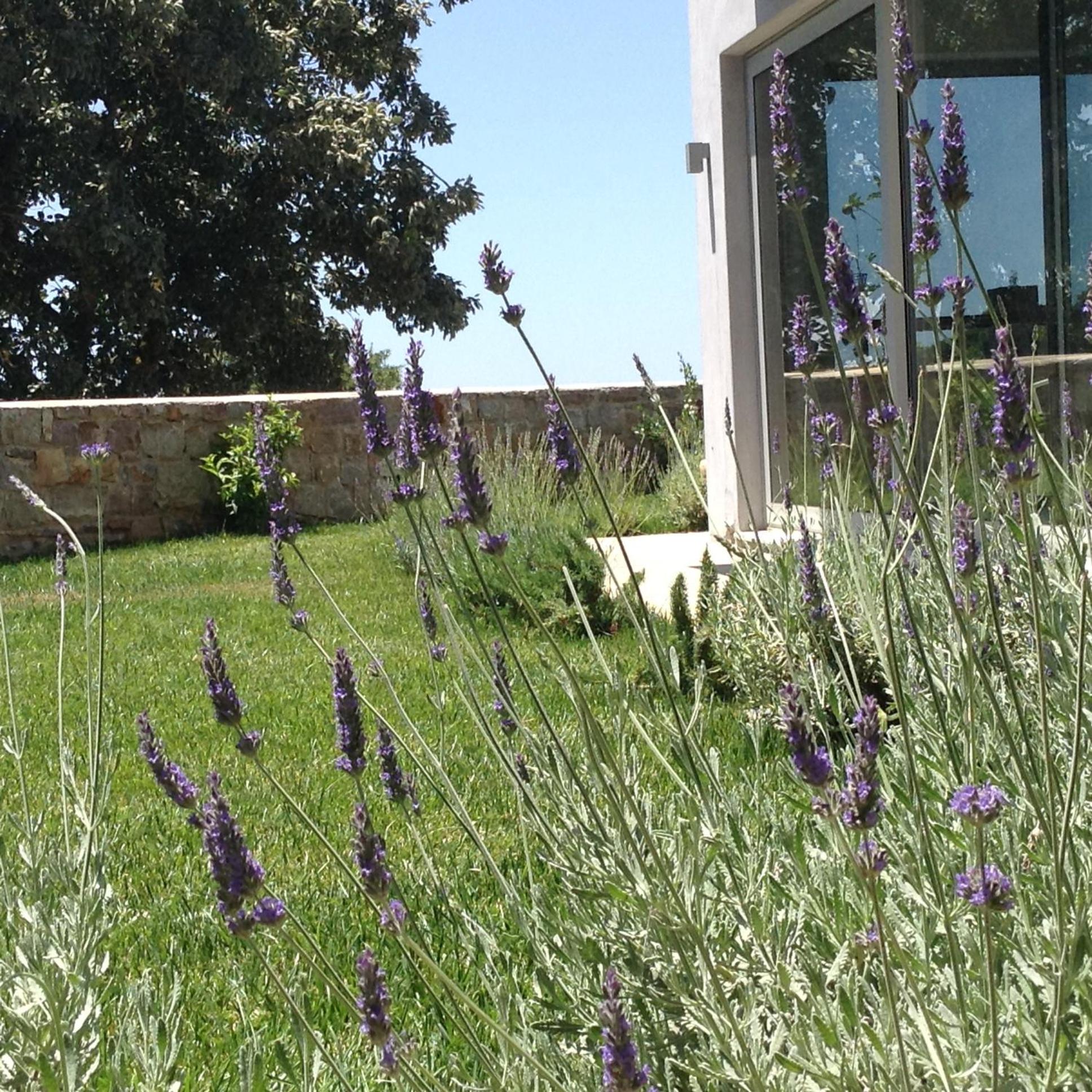 Lidea Boutique Hotel