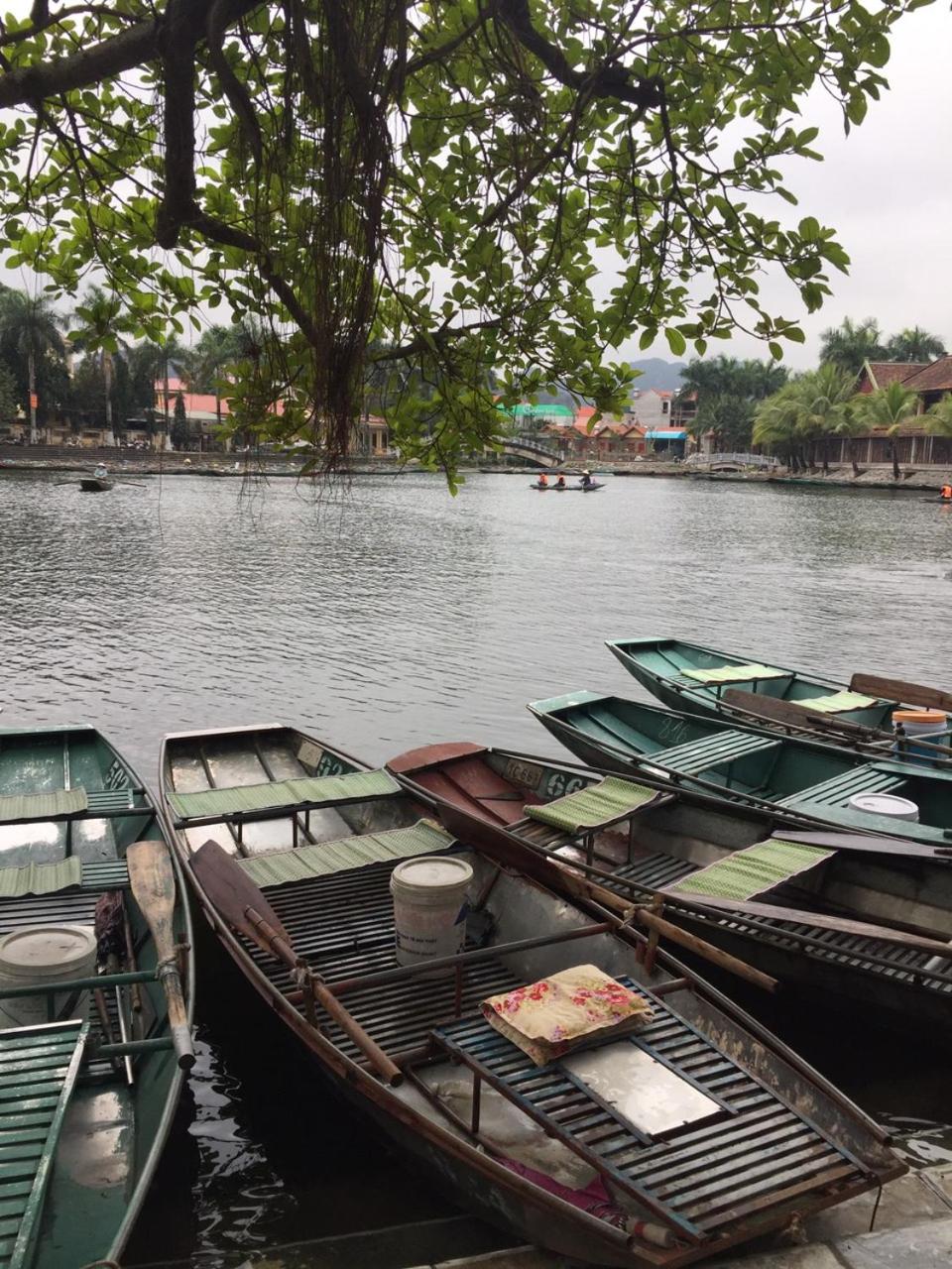 Tam Coc The Moon Lady Homestay view 5