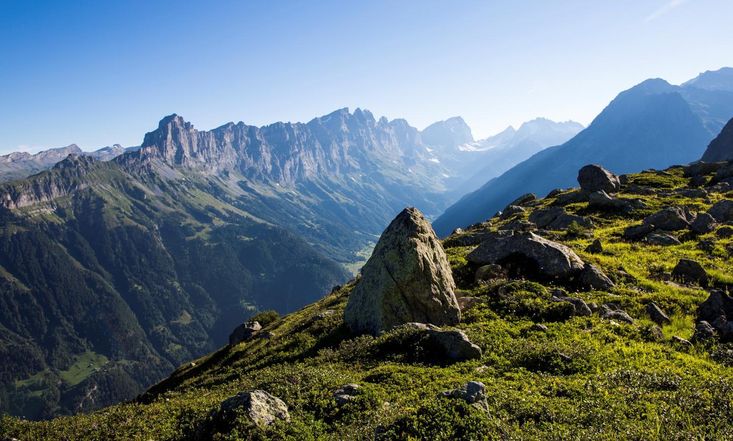 Triftblick
