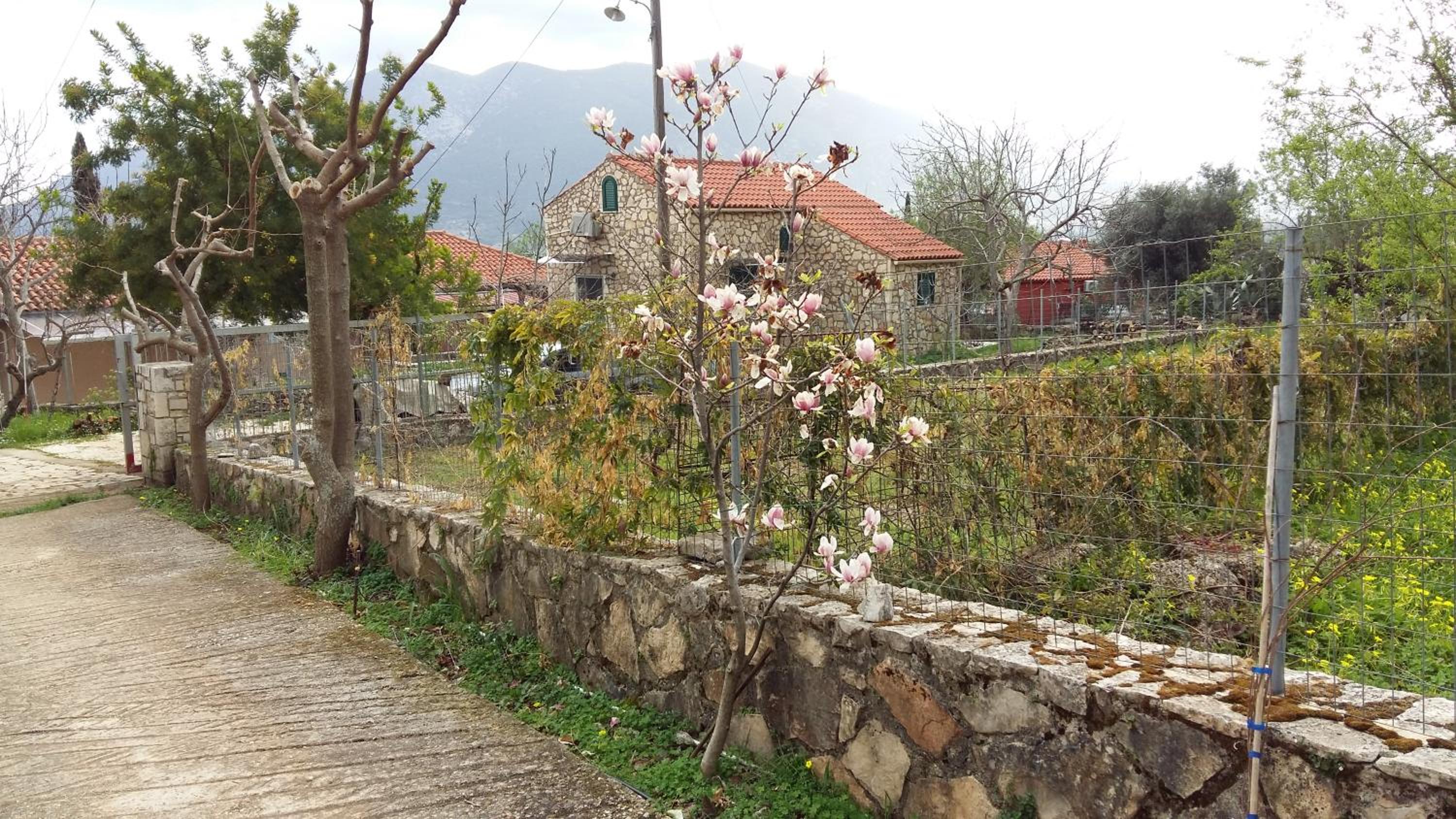 The Stone House-Zacharatos Nikolaos view 5