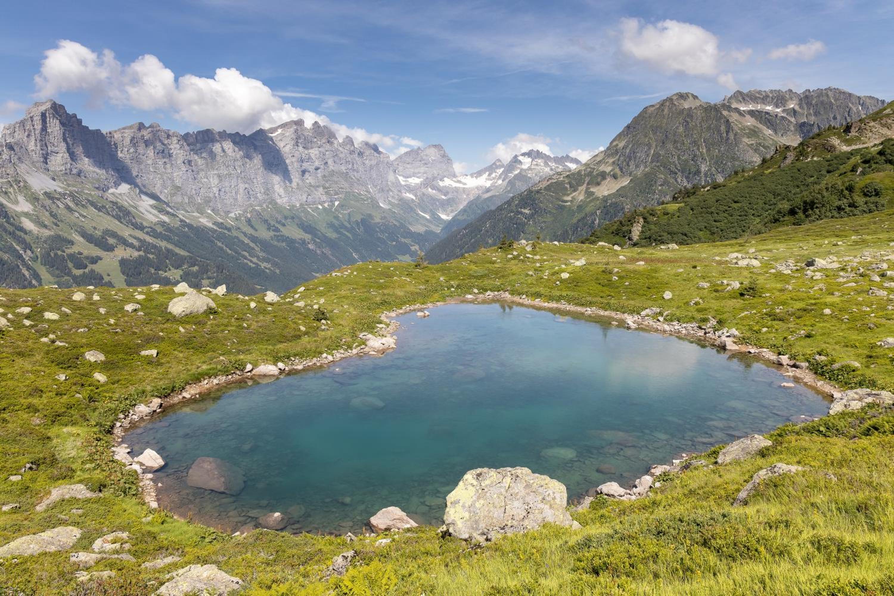 Triftblick