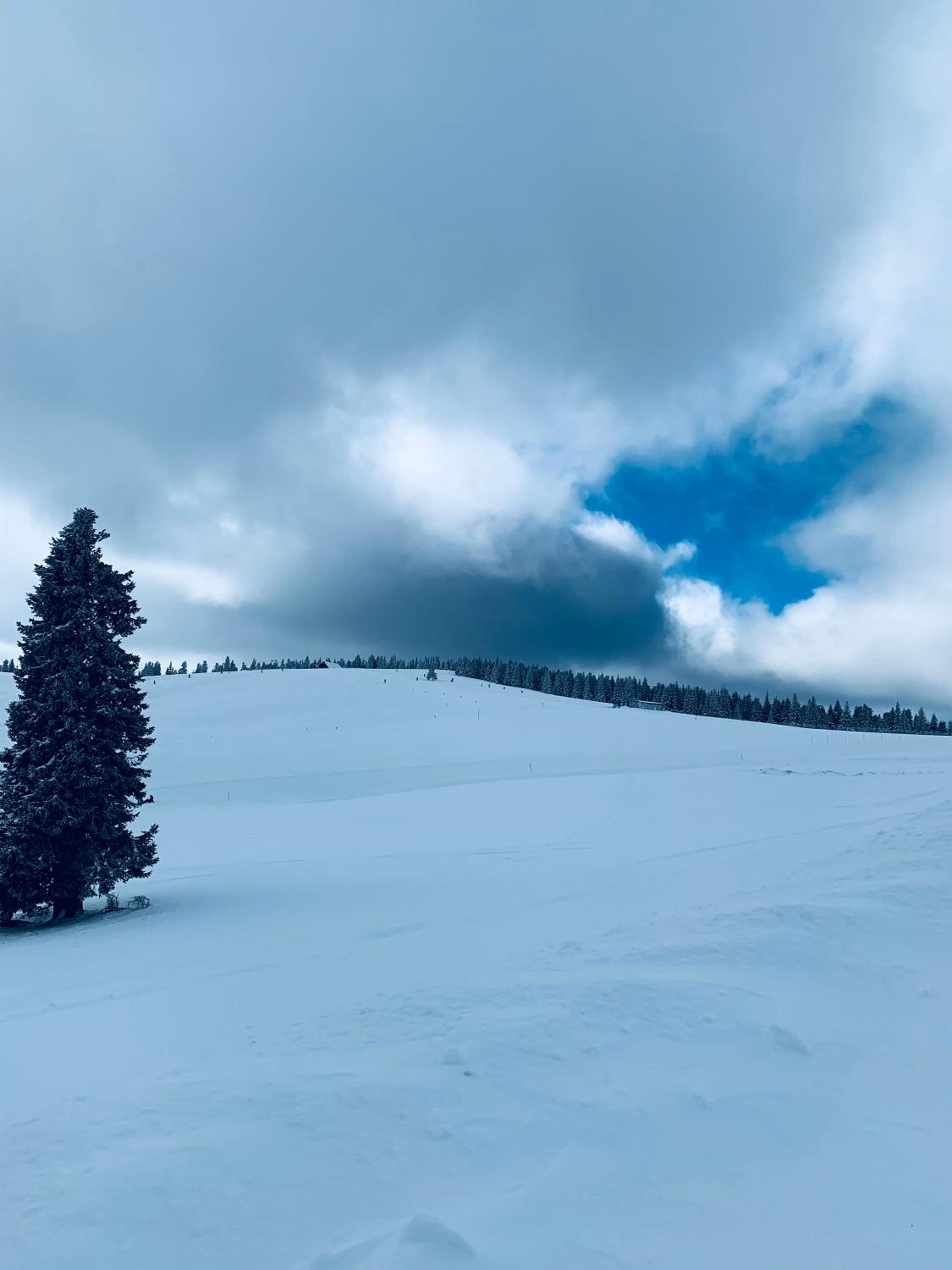 Cabana Cerbul-Oasa-Transalpina