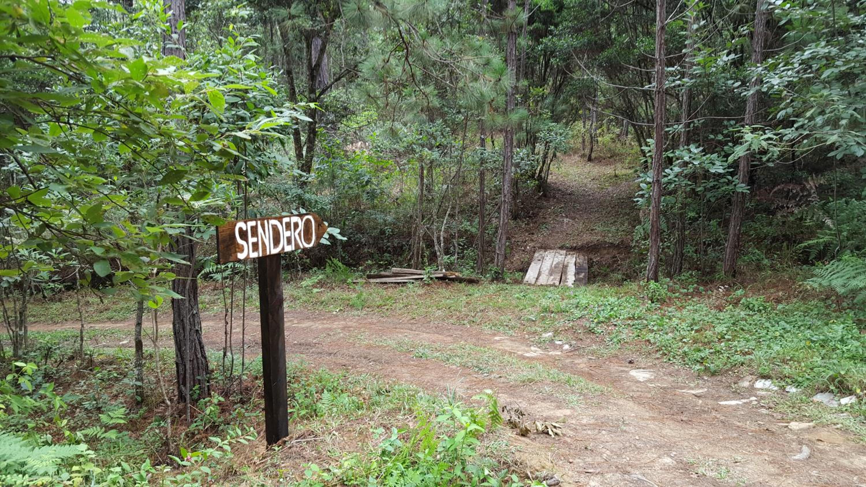 children's play area