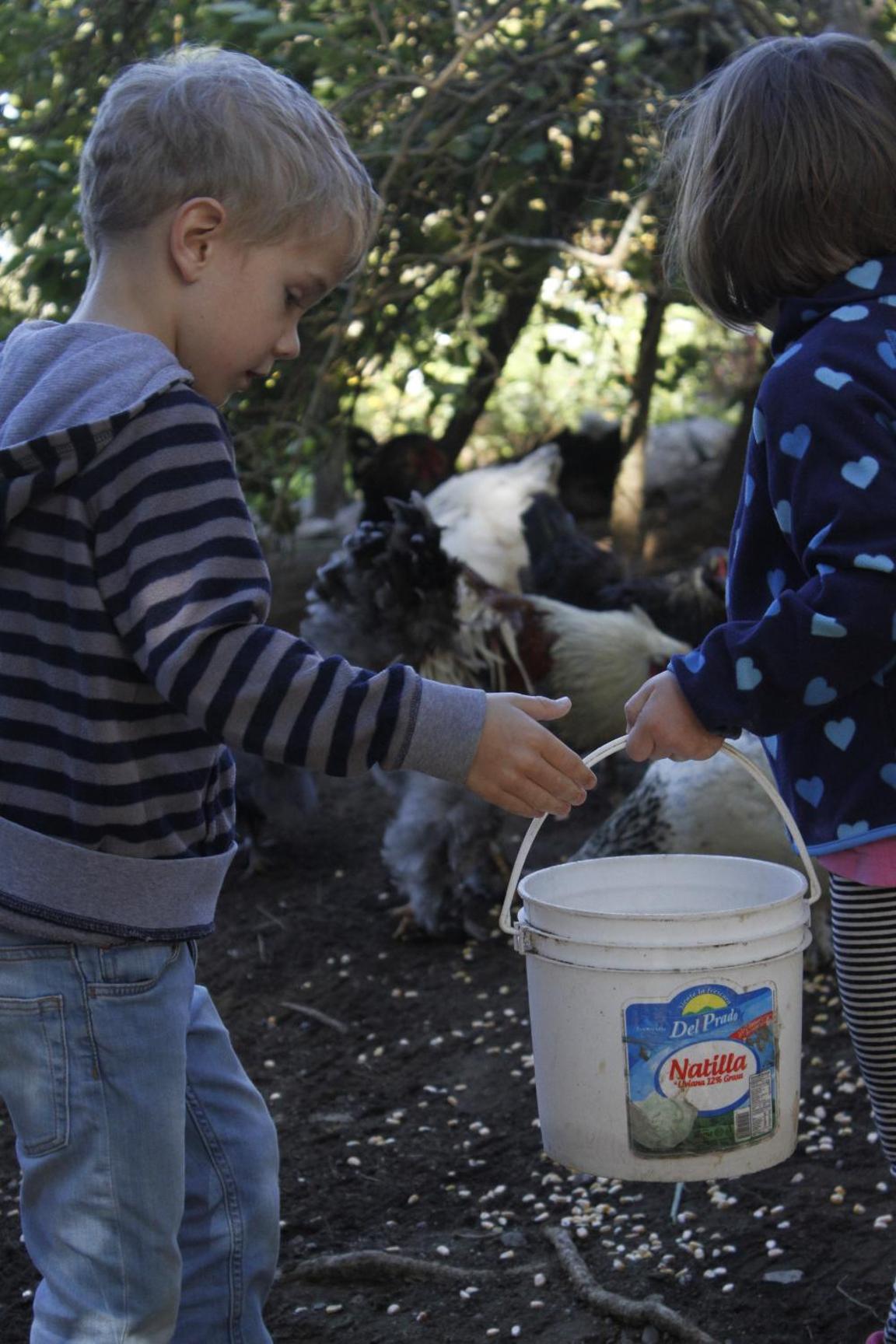 Cabinas Capulin & Farm