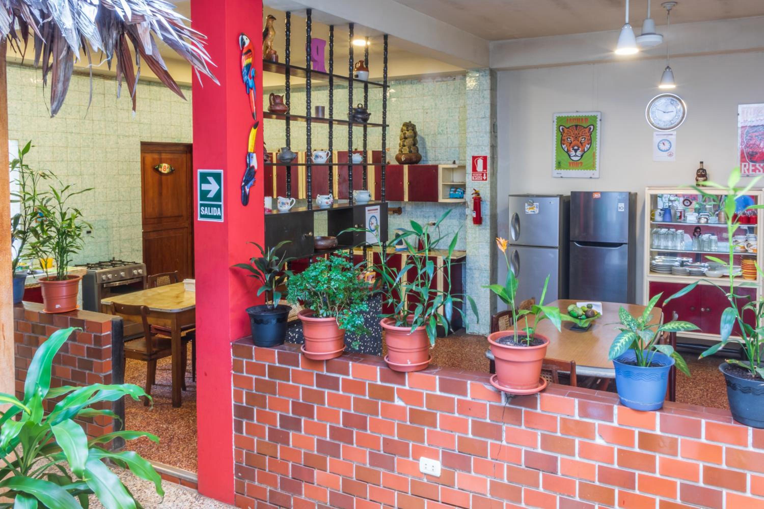 Flying Dog Hostel Iquitos