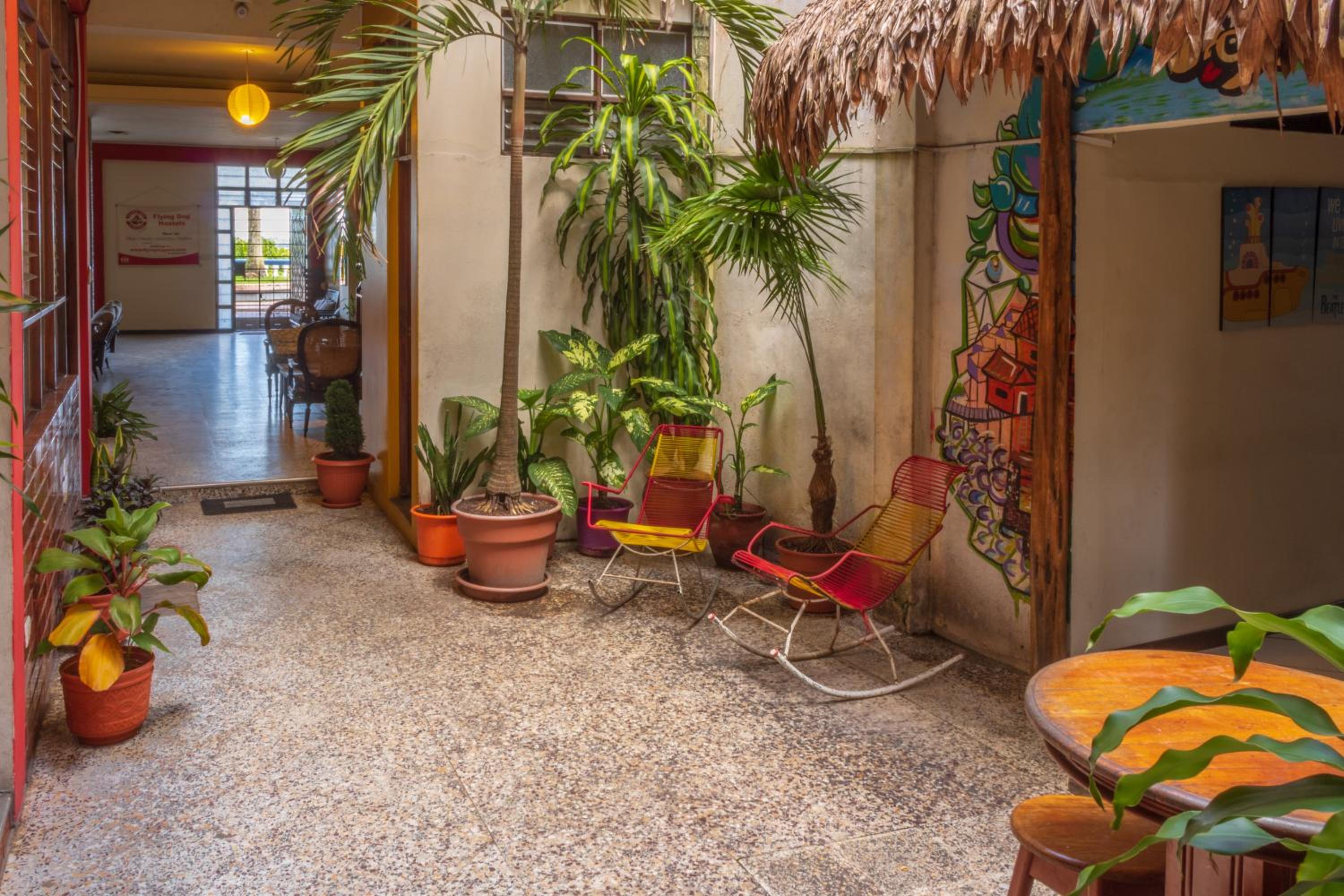 Flying Dog Hostel Iquitos, photo 19