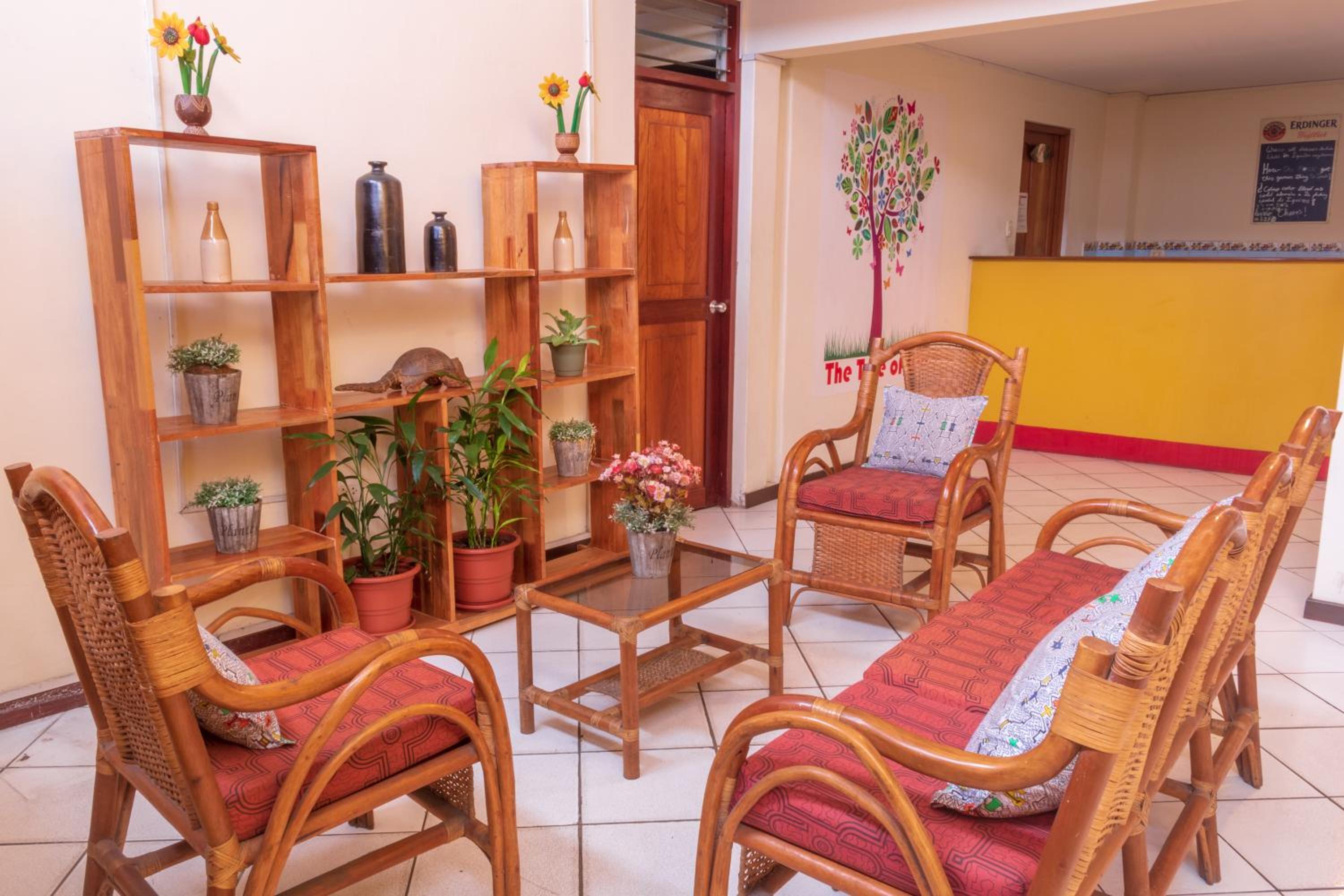 Flying Dog Hostel Iquitos, photo 50