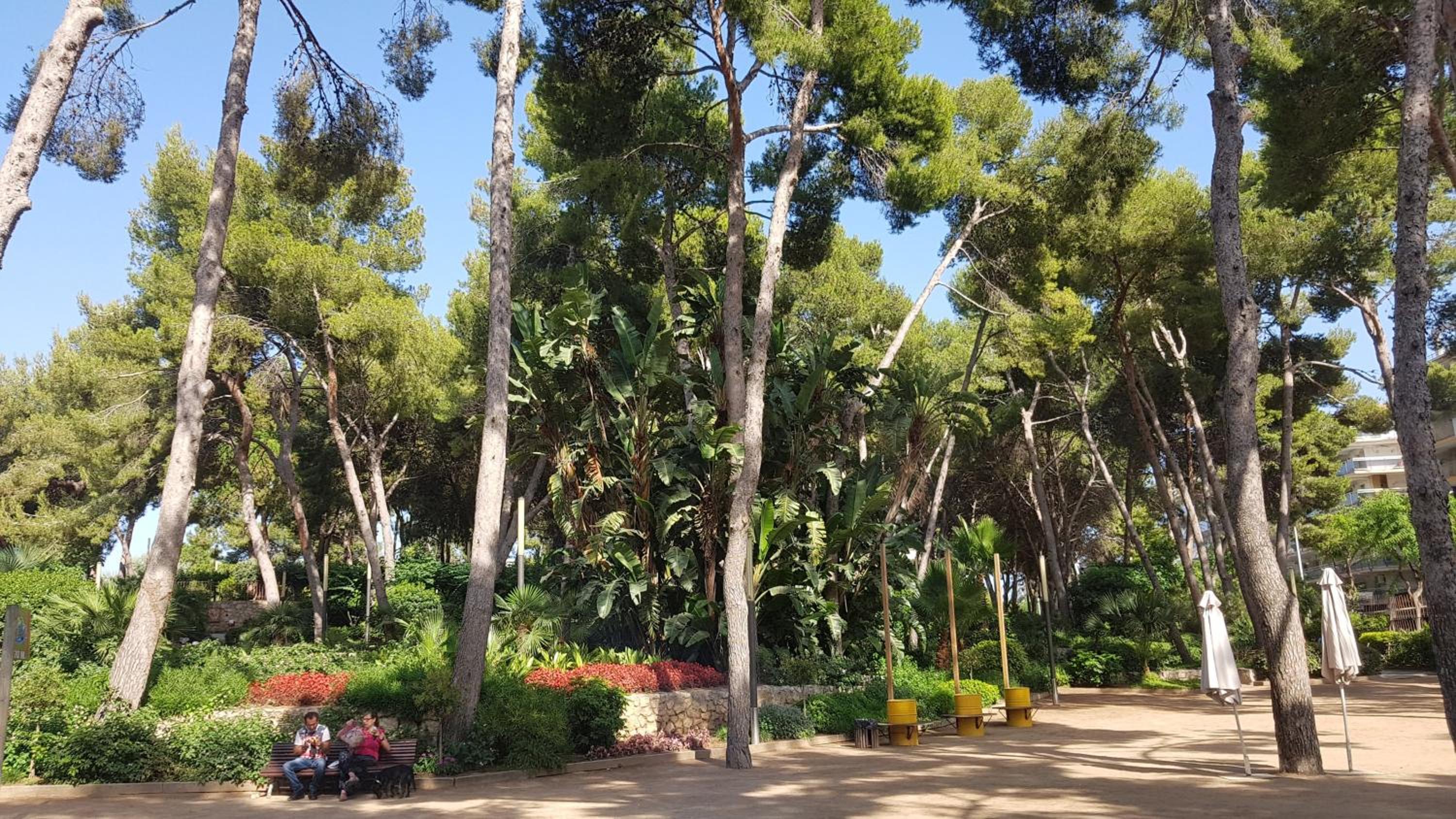 Photo 9