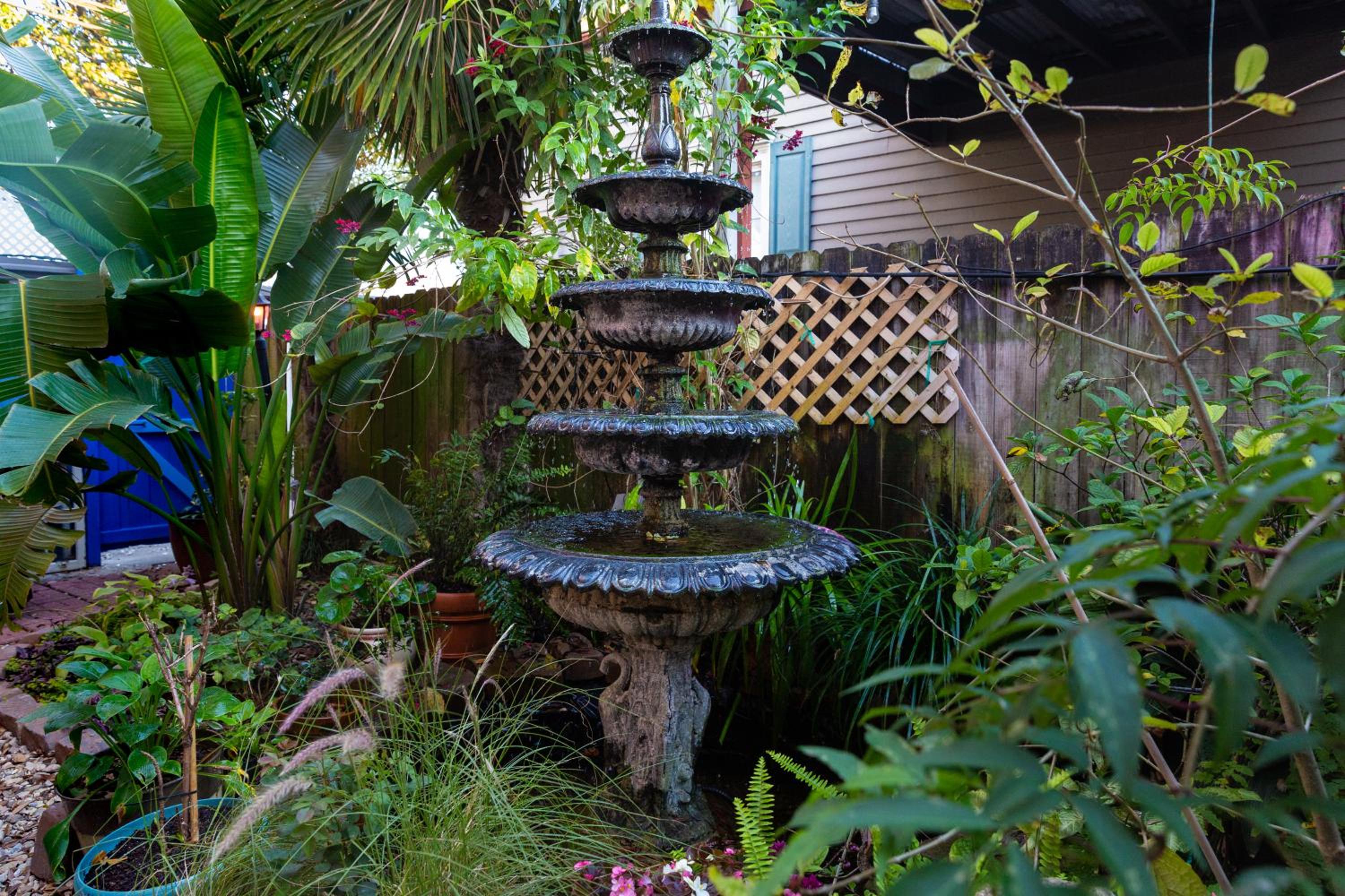 Photo 40