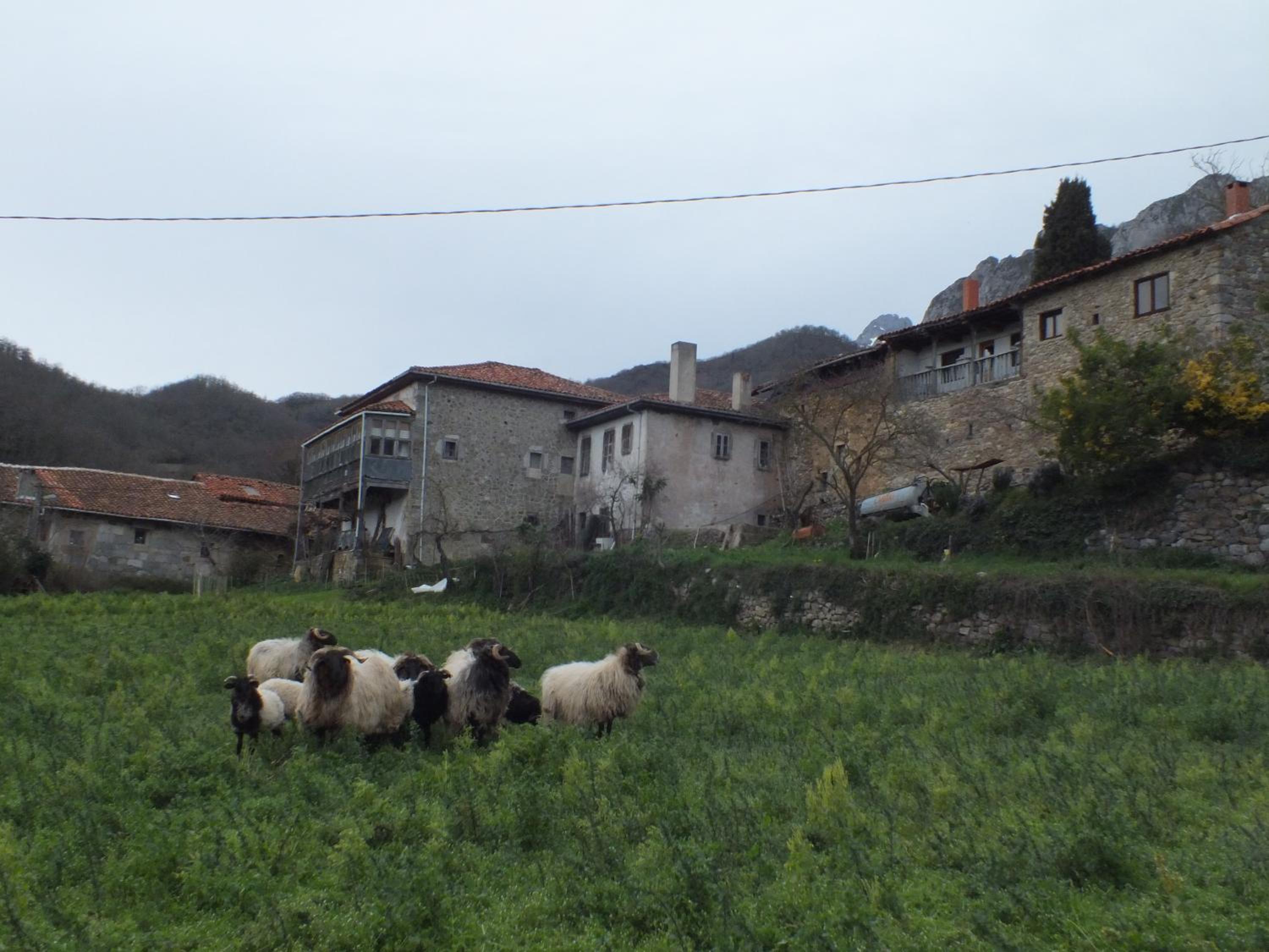 Photo 47