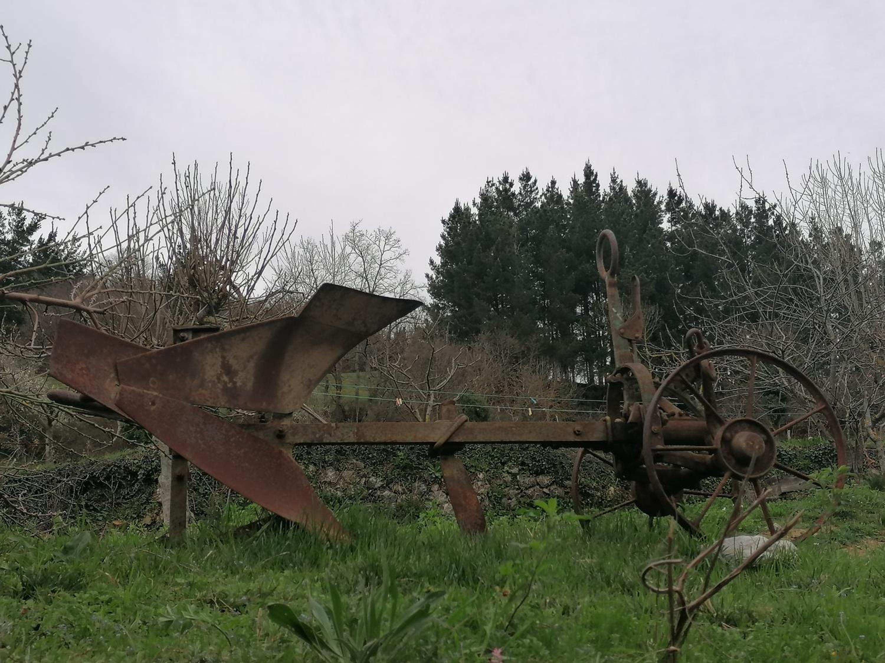 Photo 48
