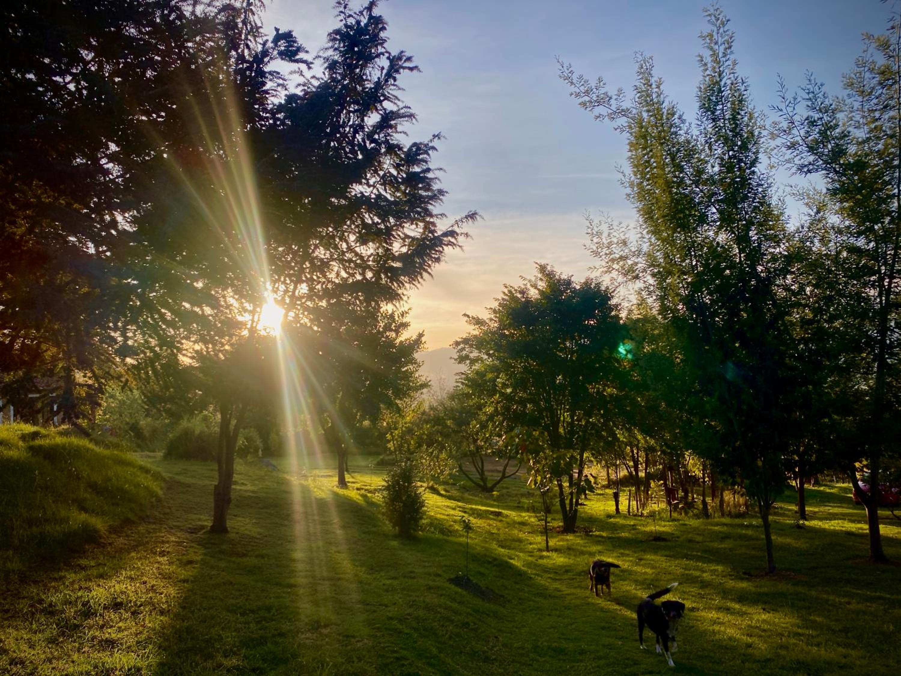 Finca Agrreste