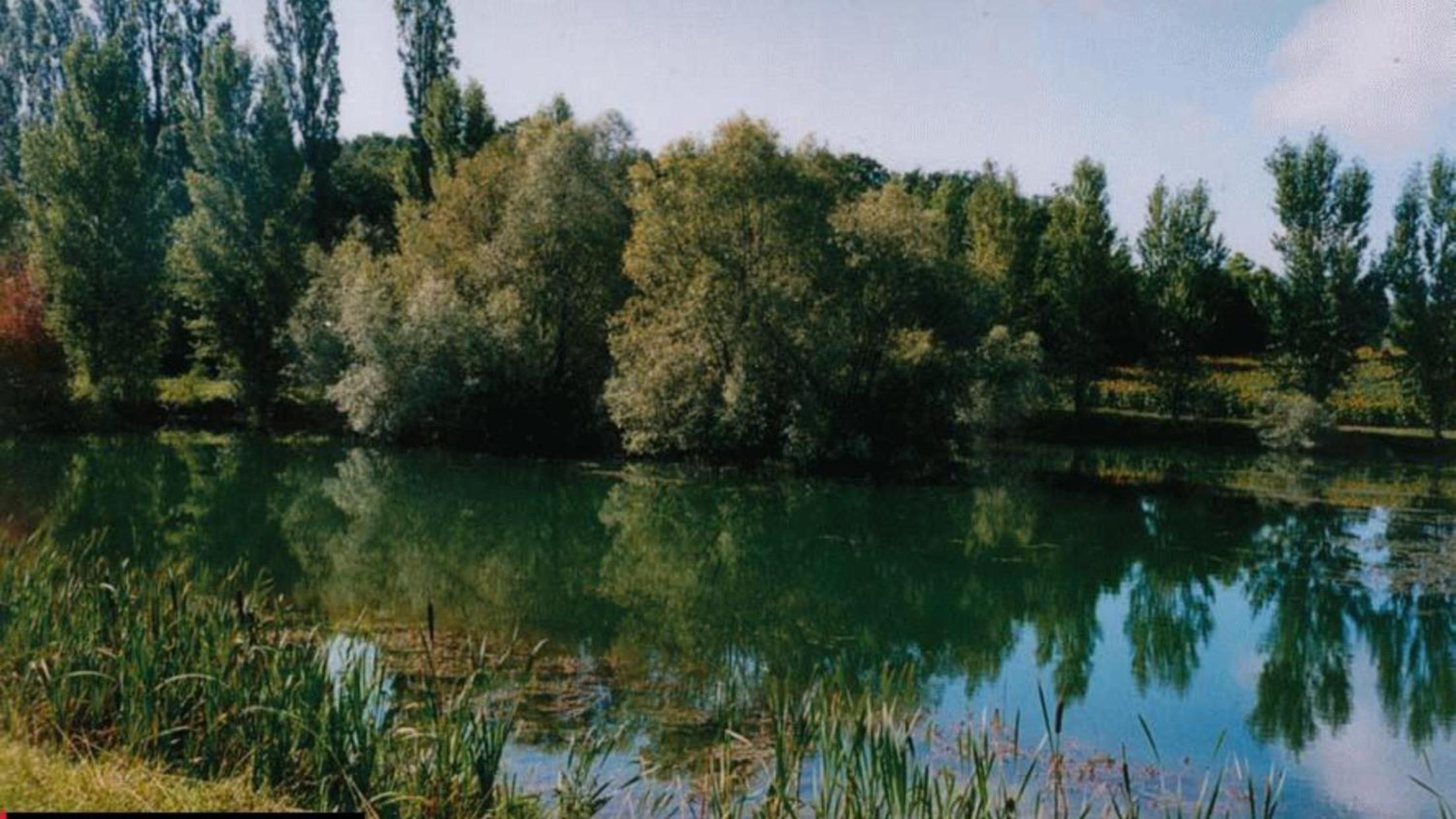 Photo 38