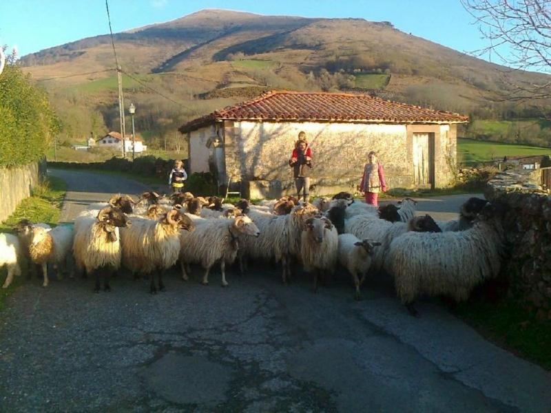 Photo 13