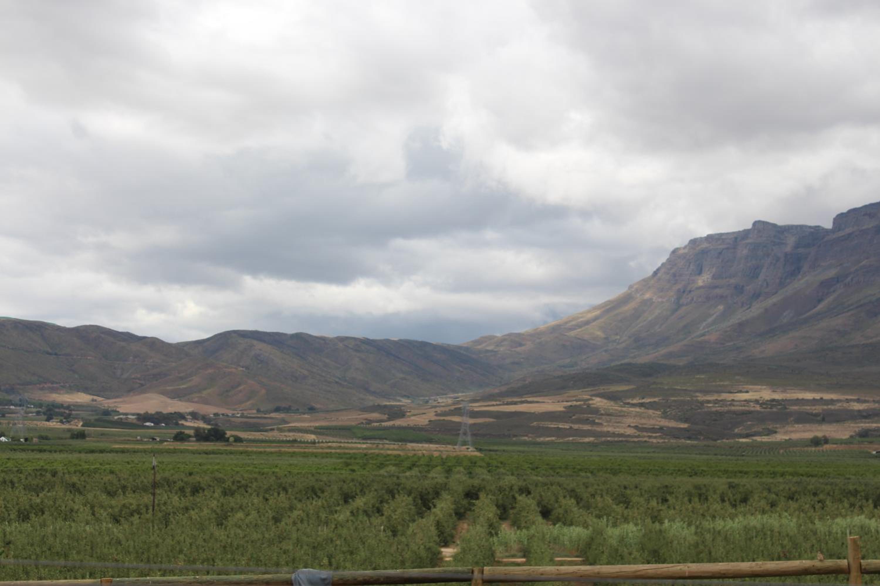 Photo 40