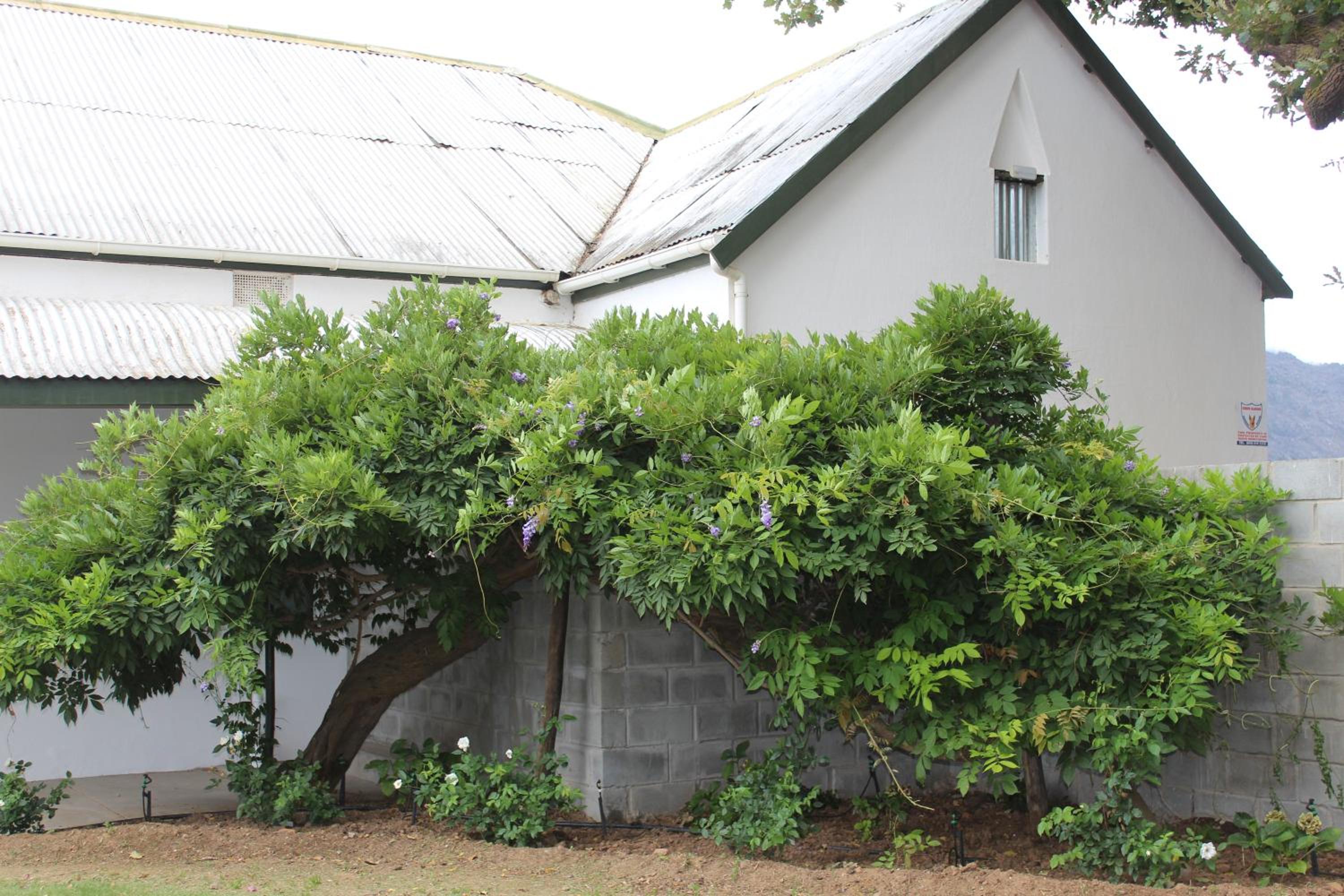 Rooikraal Farm Guesthouse and dam view 3