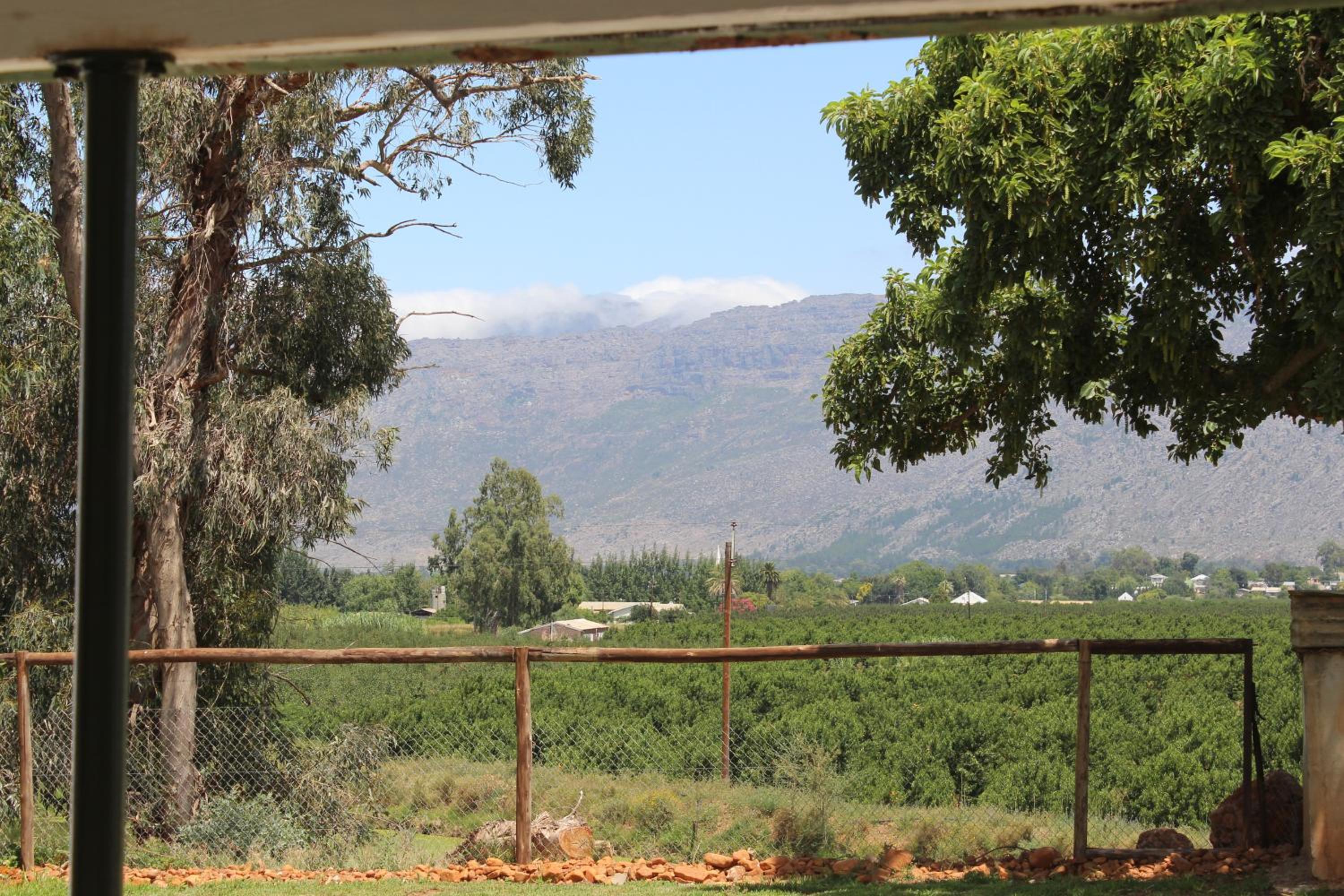 Photo 44