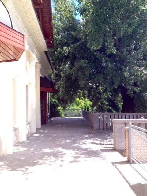 Photo 29