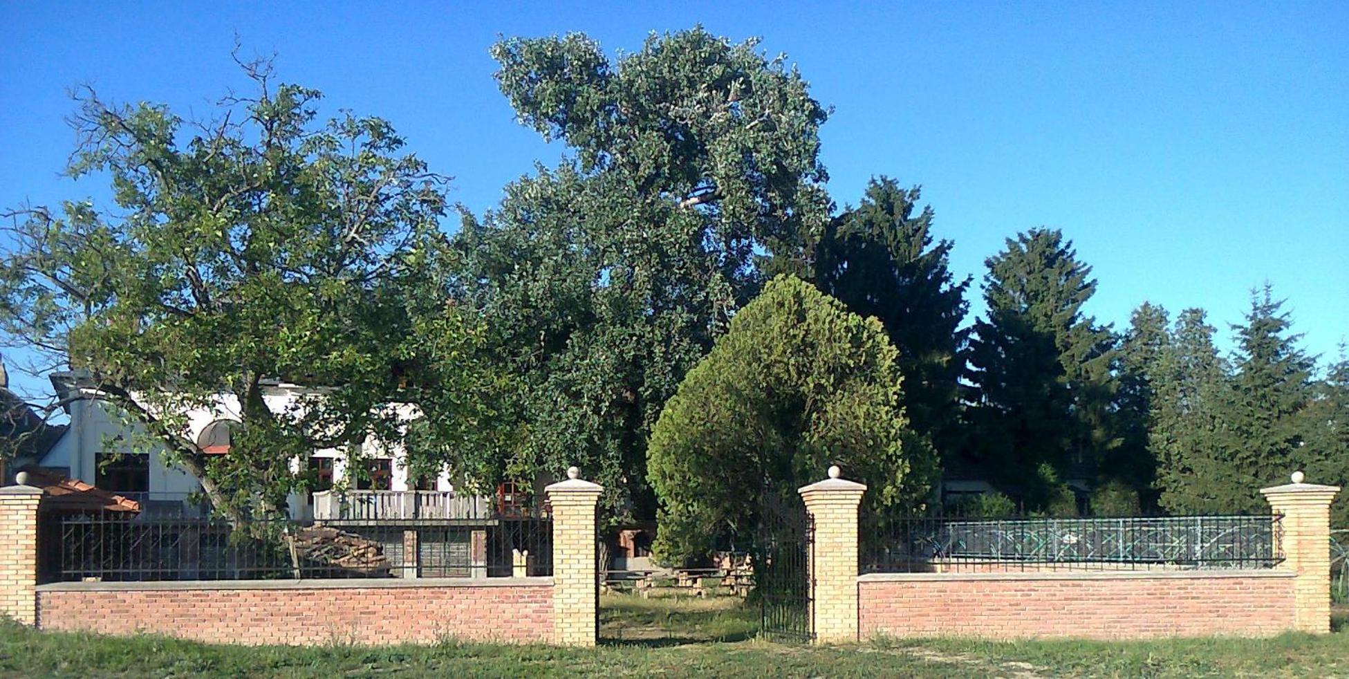 Photo 23
