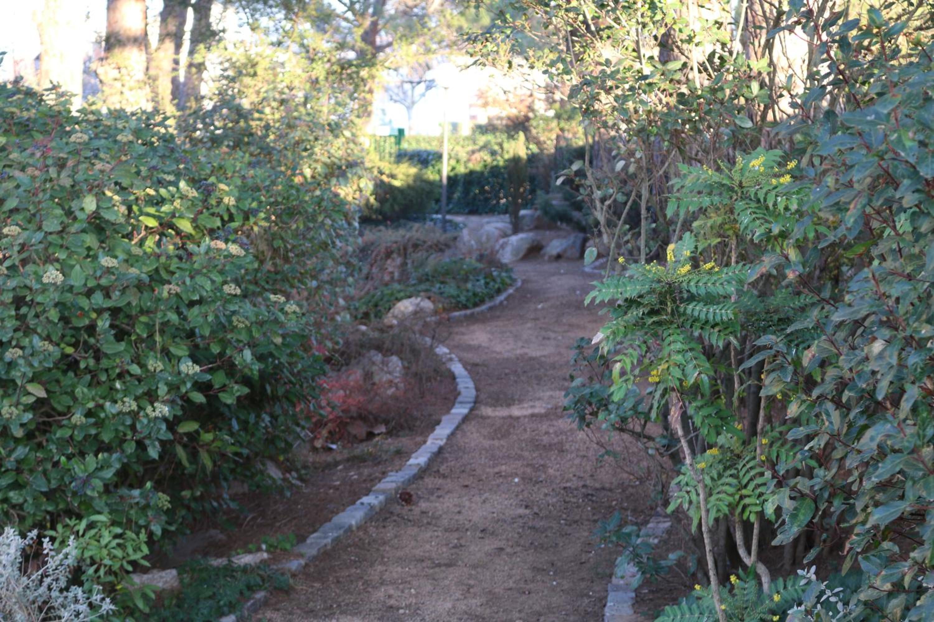 Hostal del Senglar view 5