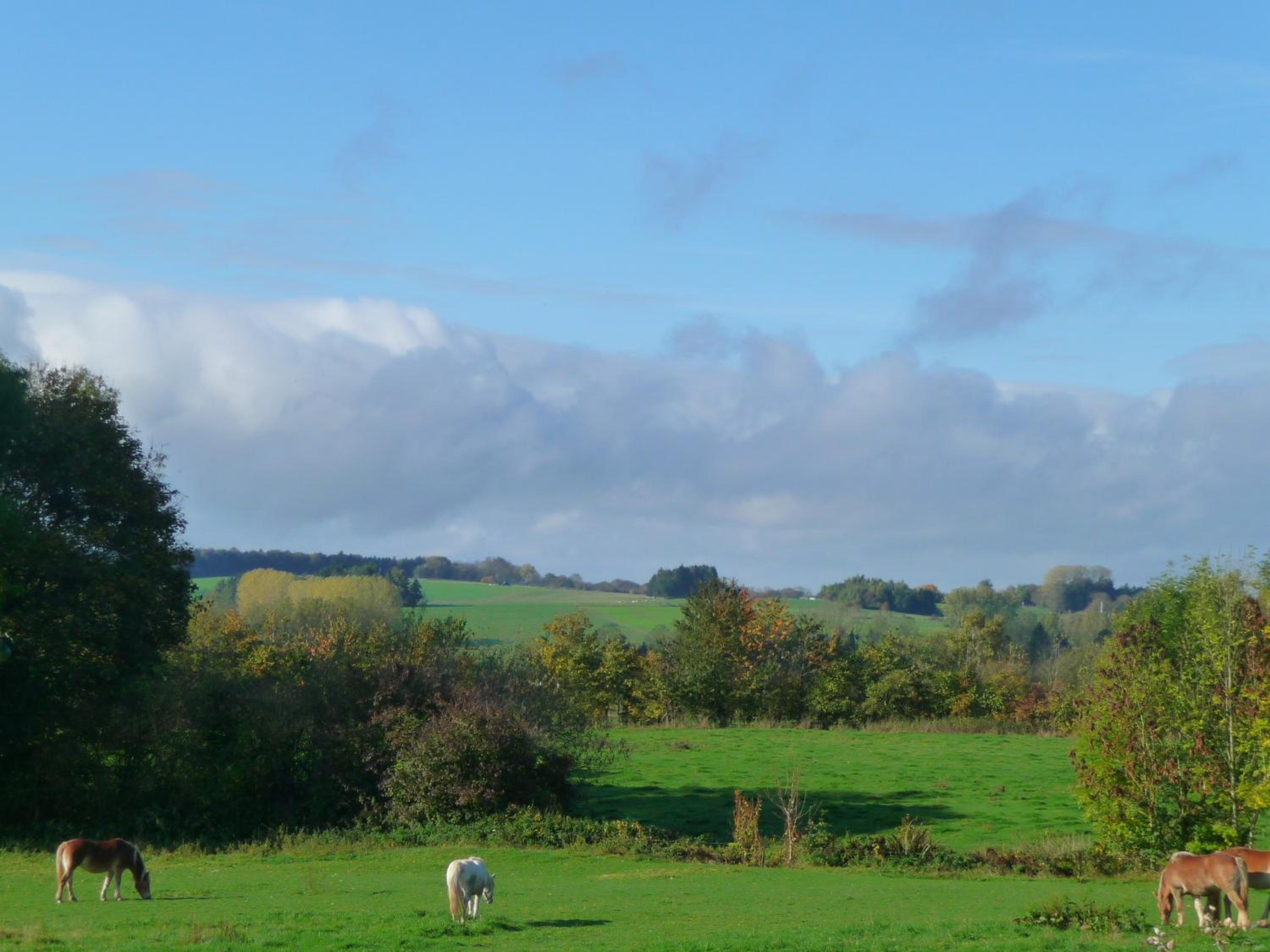 Fermes du Bonheur