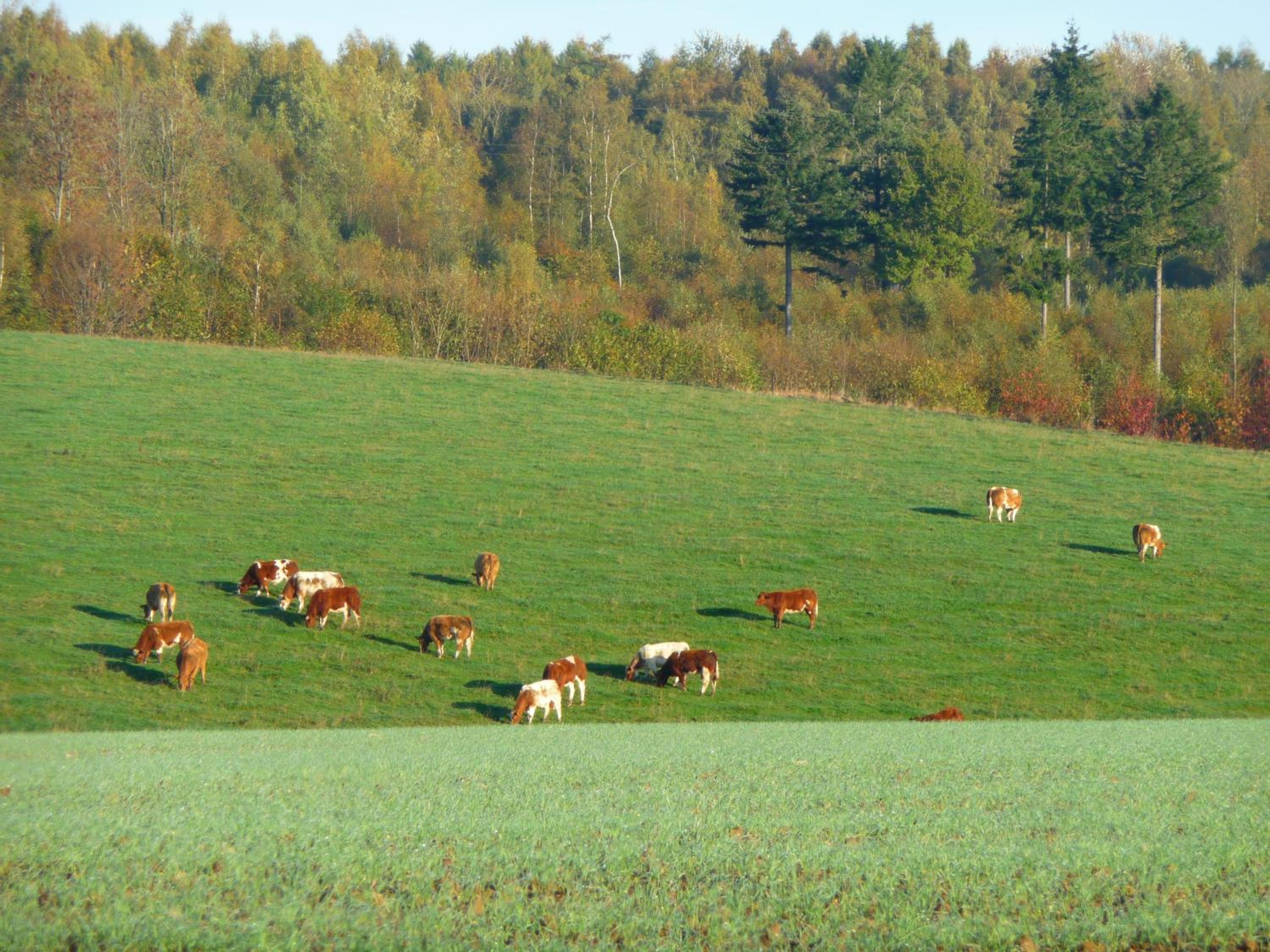 Fermes du Bonheur