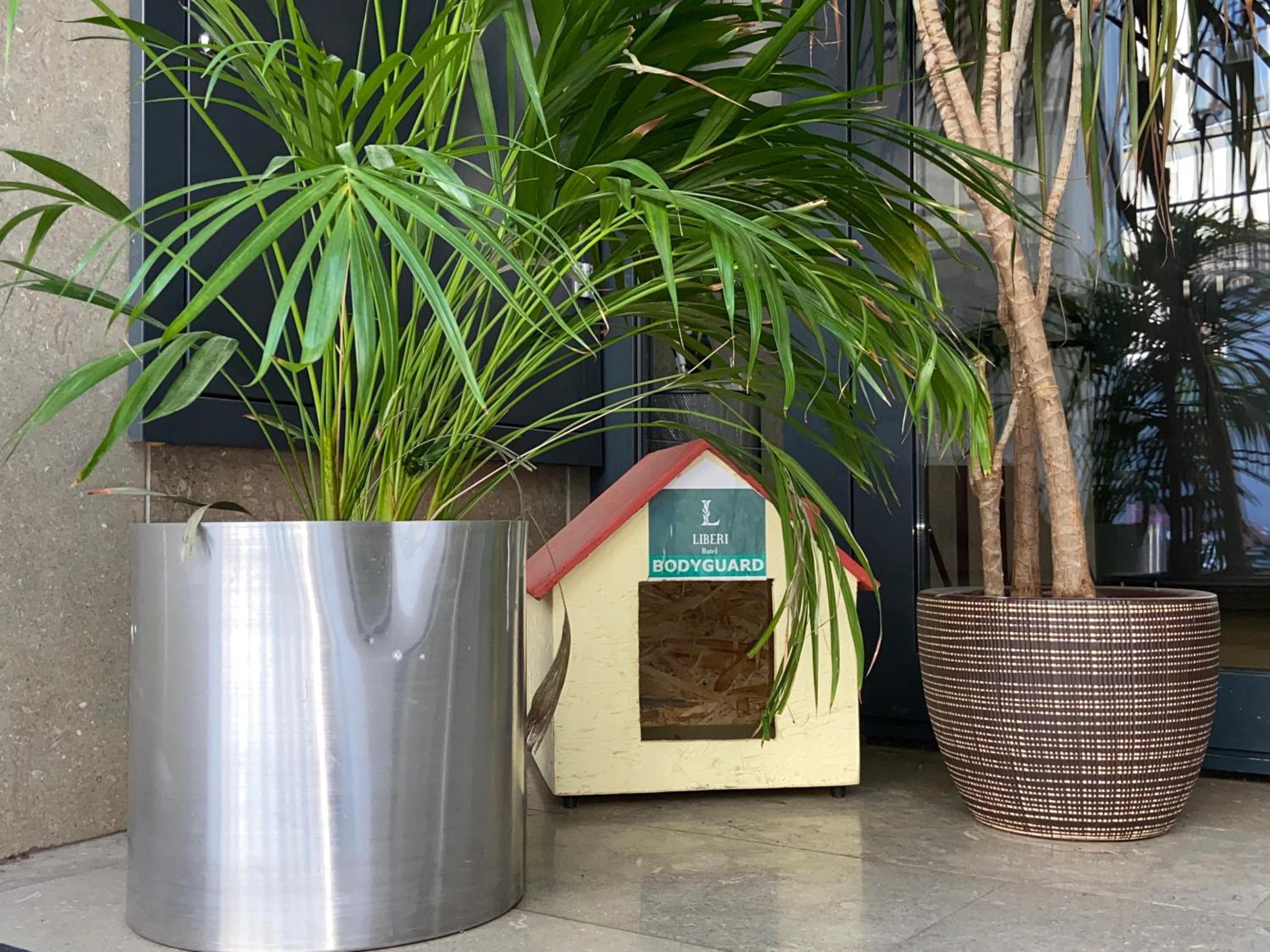 Liberi Otel Taksim - Image 9