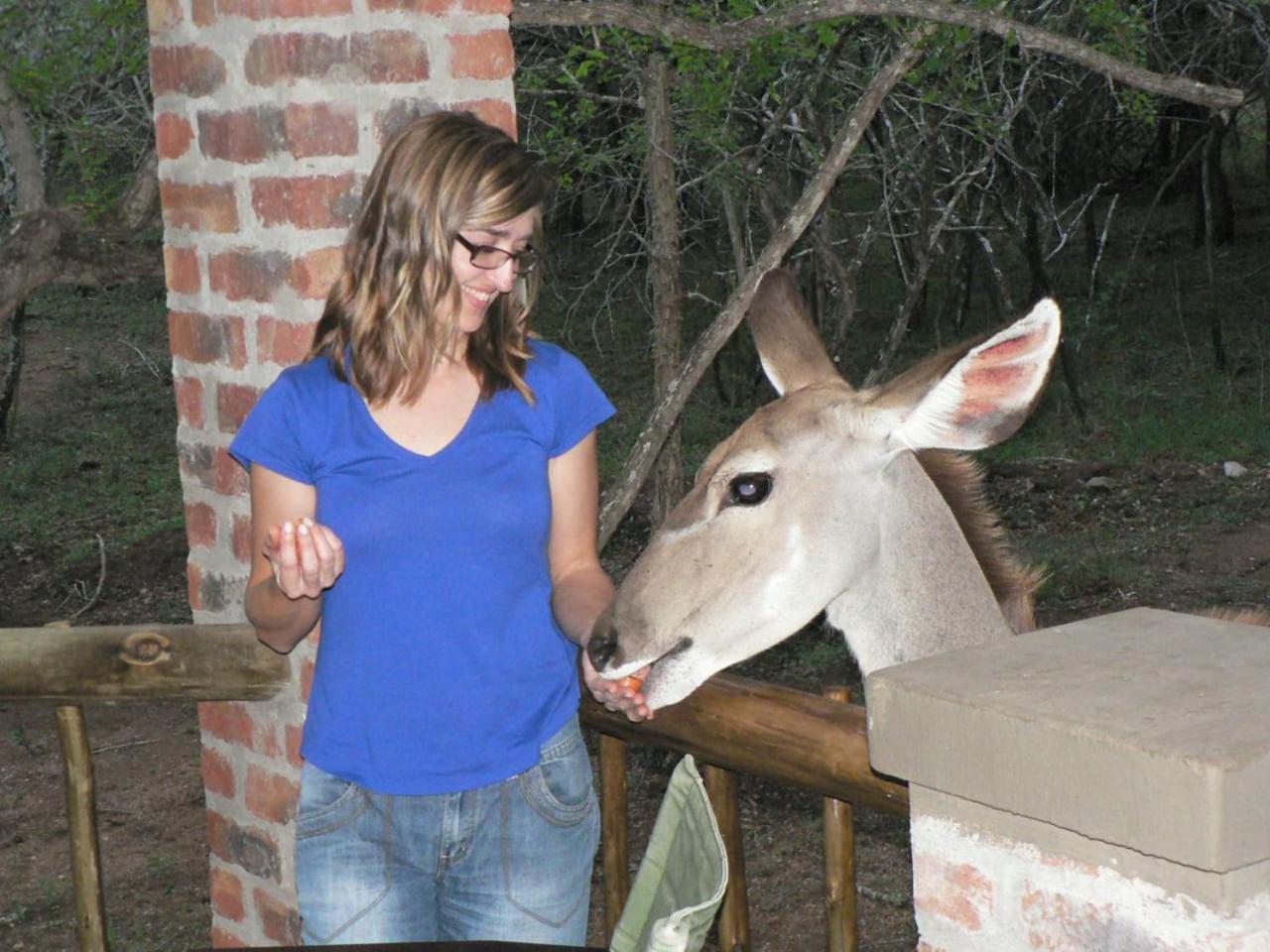 Photo 21