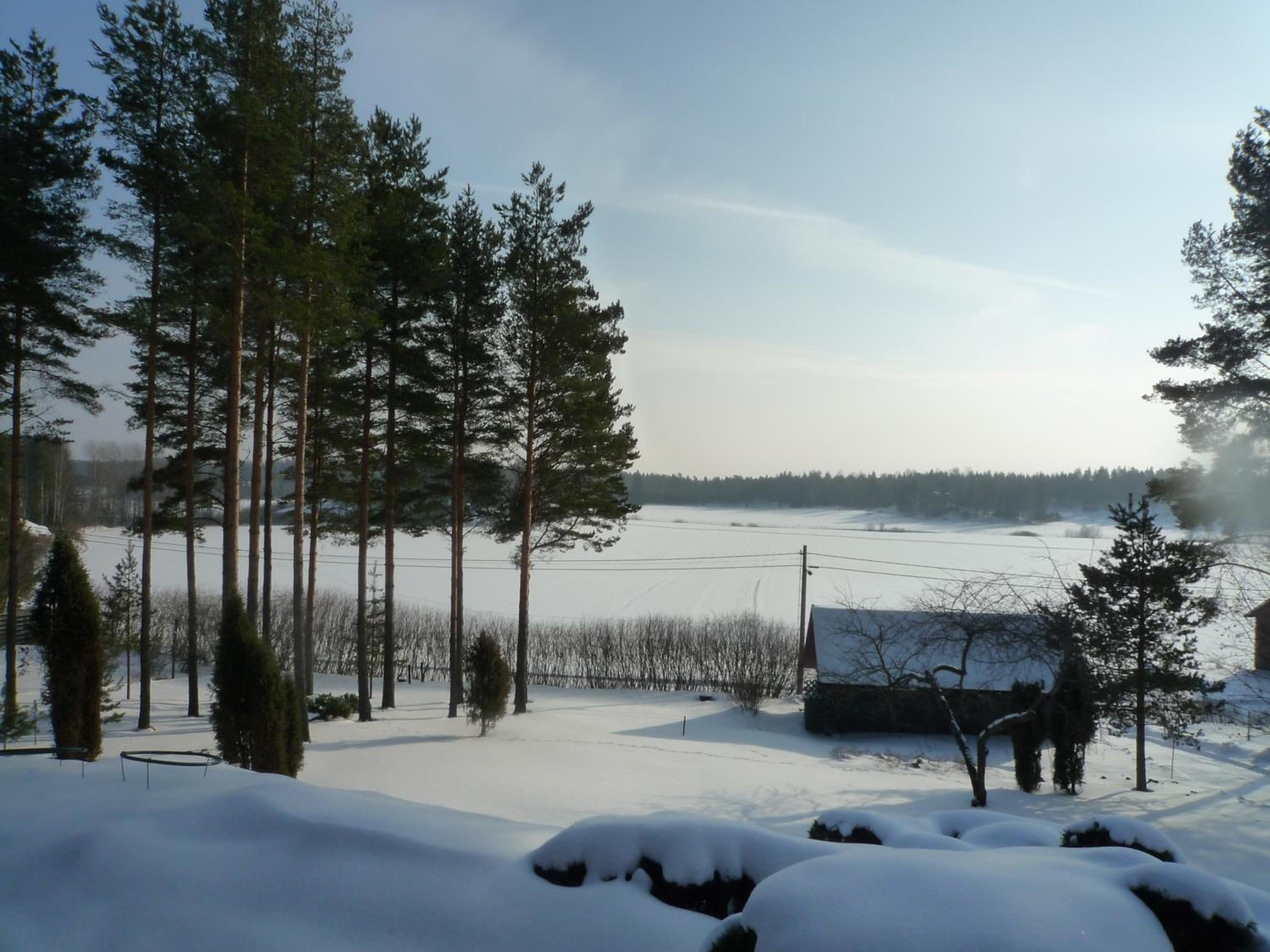 Photo 22