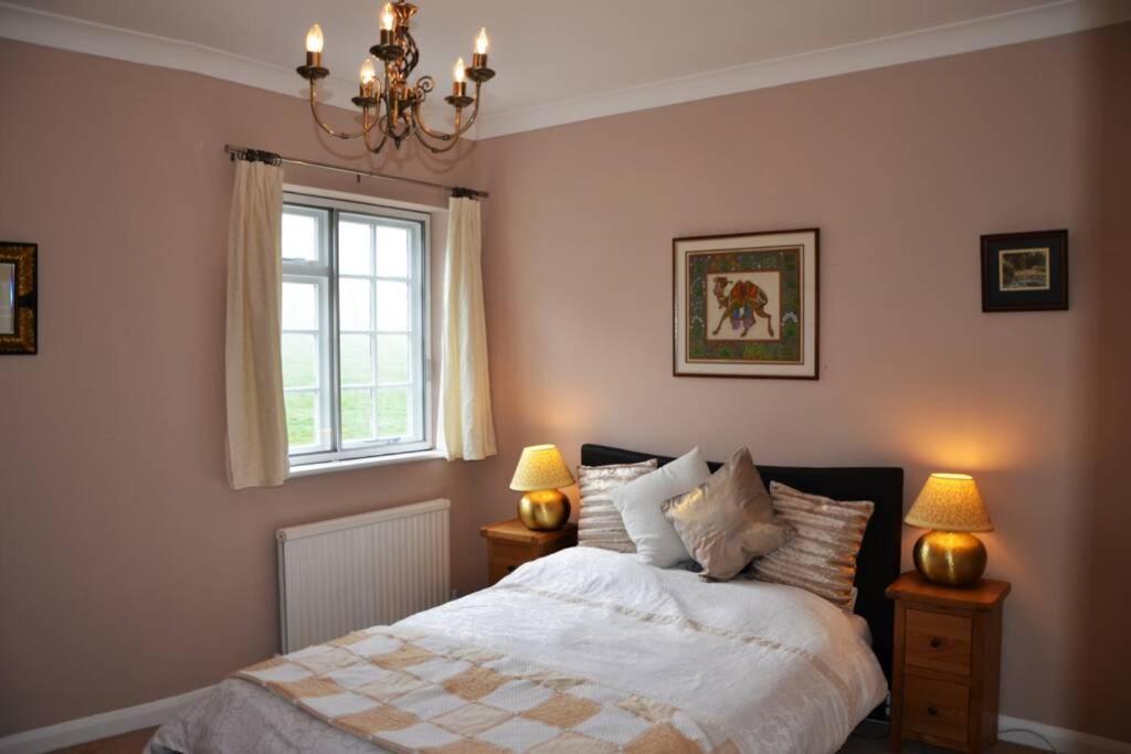 NEW - Beautiful, spacious Beechwood Lodge with lovely gardens view 5