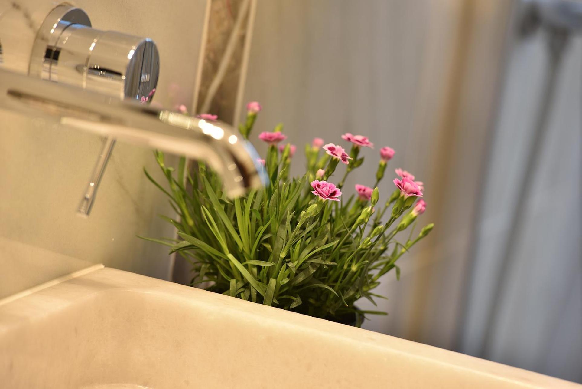 Apartman Dalia Janáčkovo nábřeží