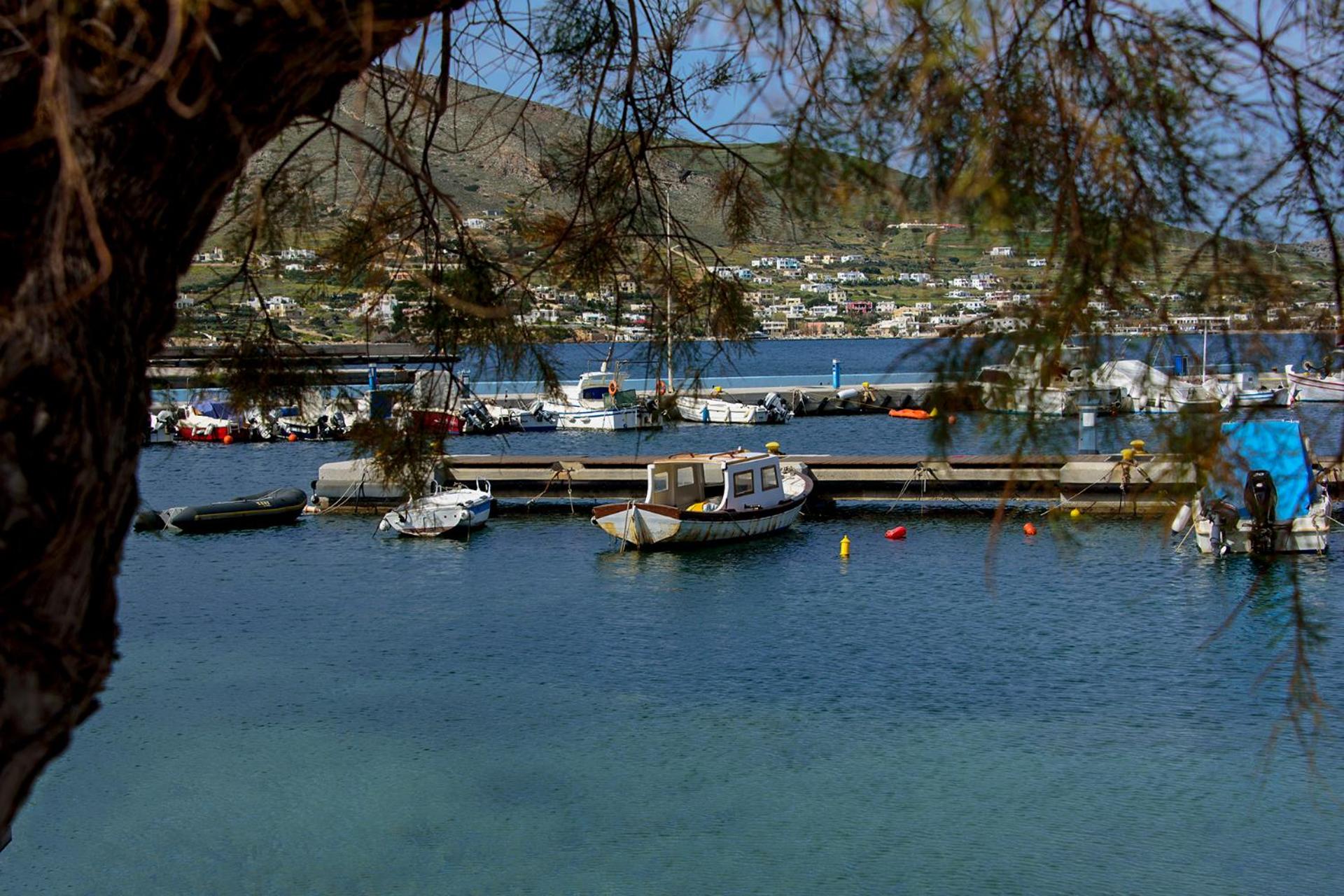 Photo 46