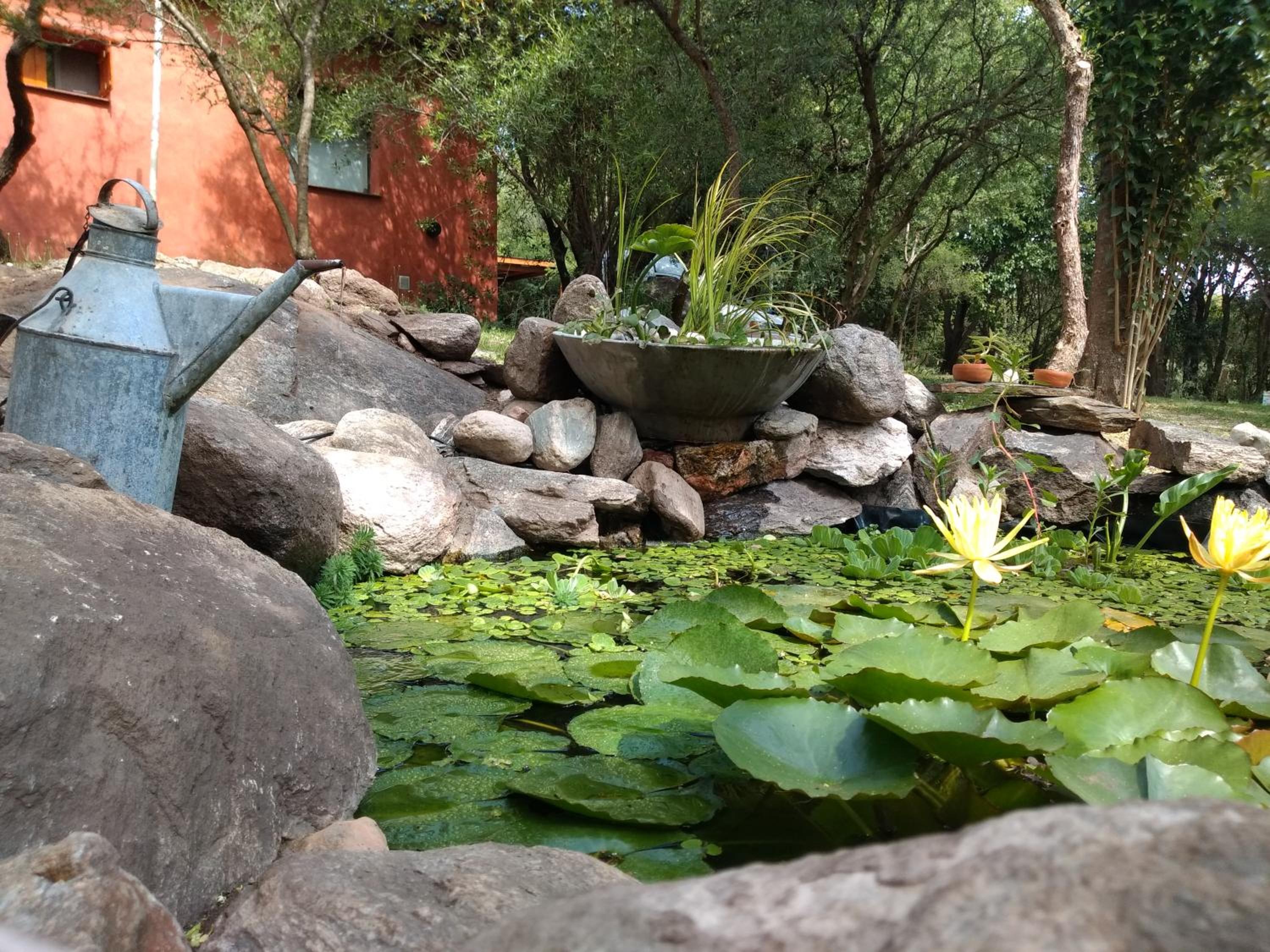 Dorado del Sol