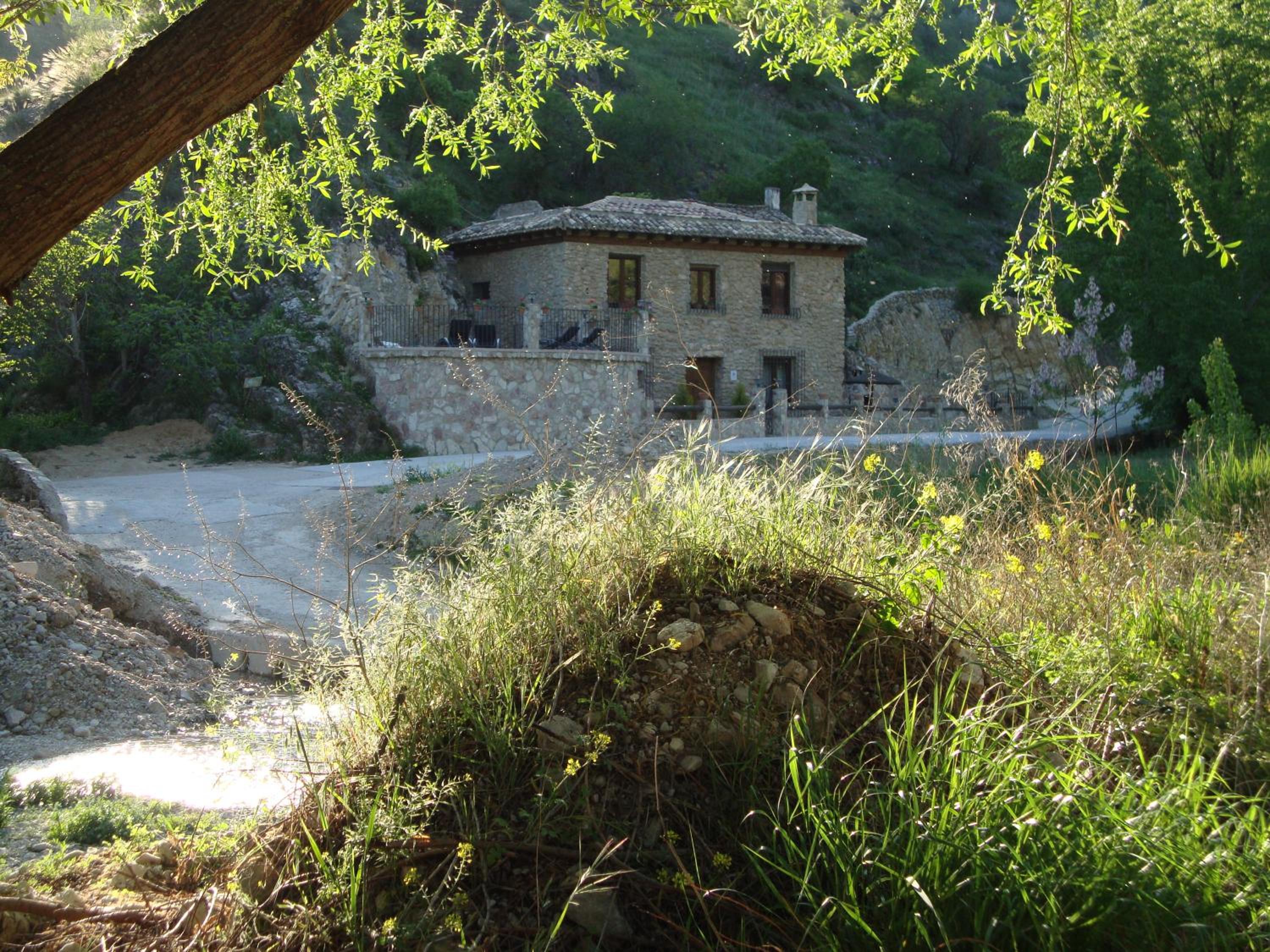Photo 12