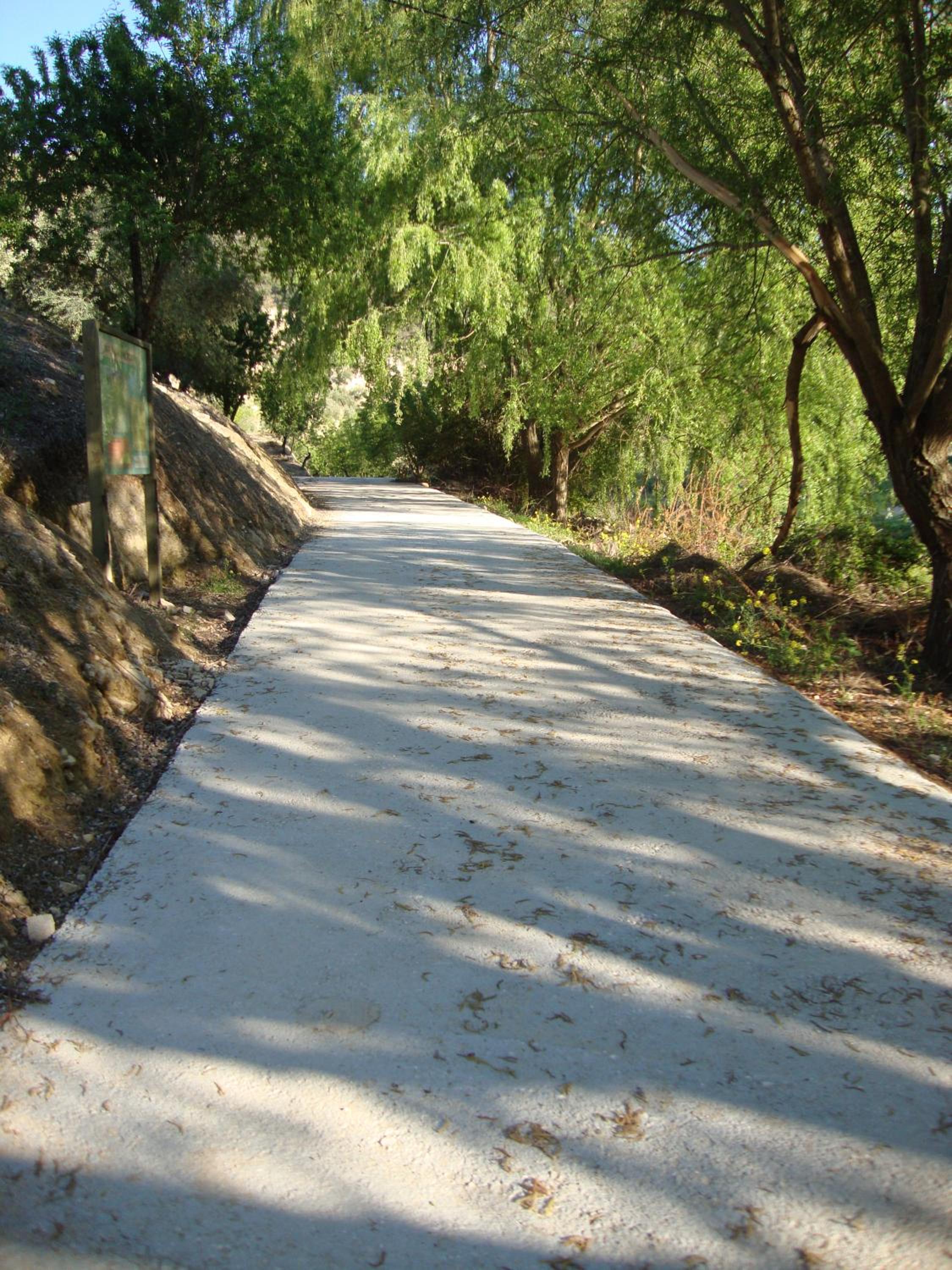 Photo 28