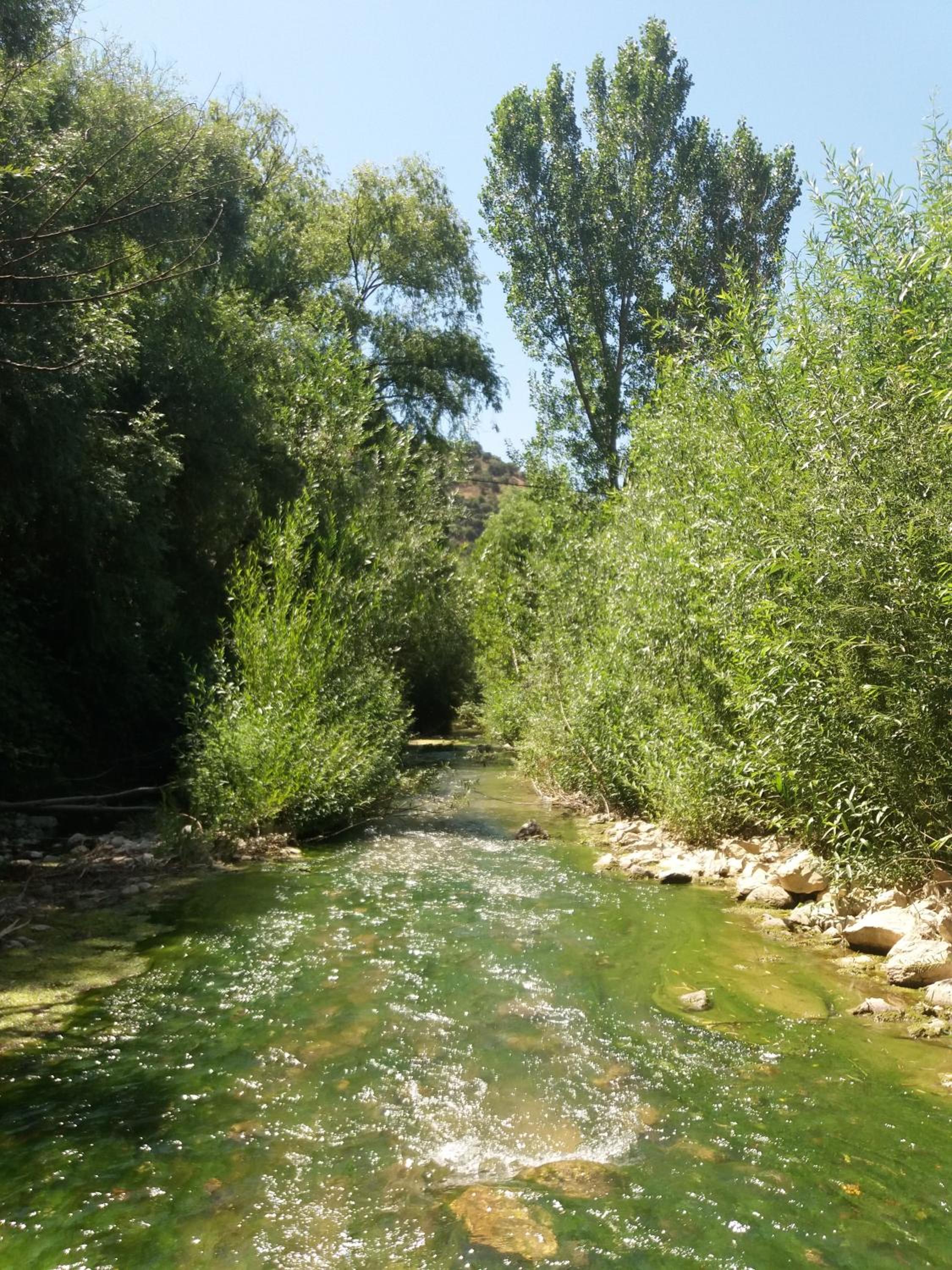 Photo 33