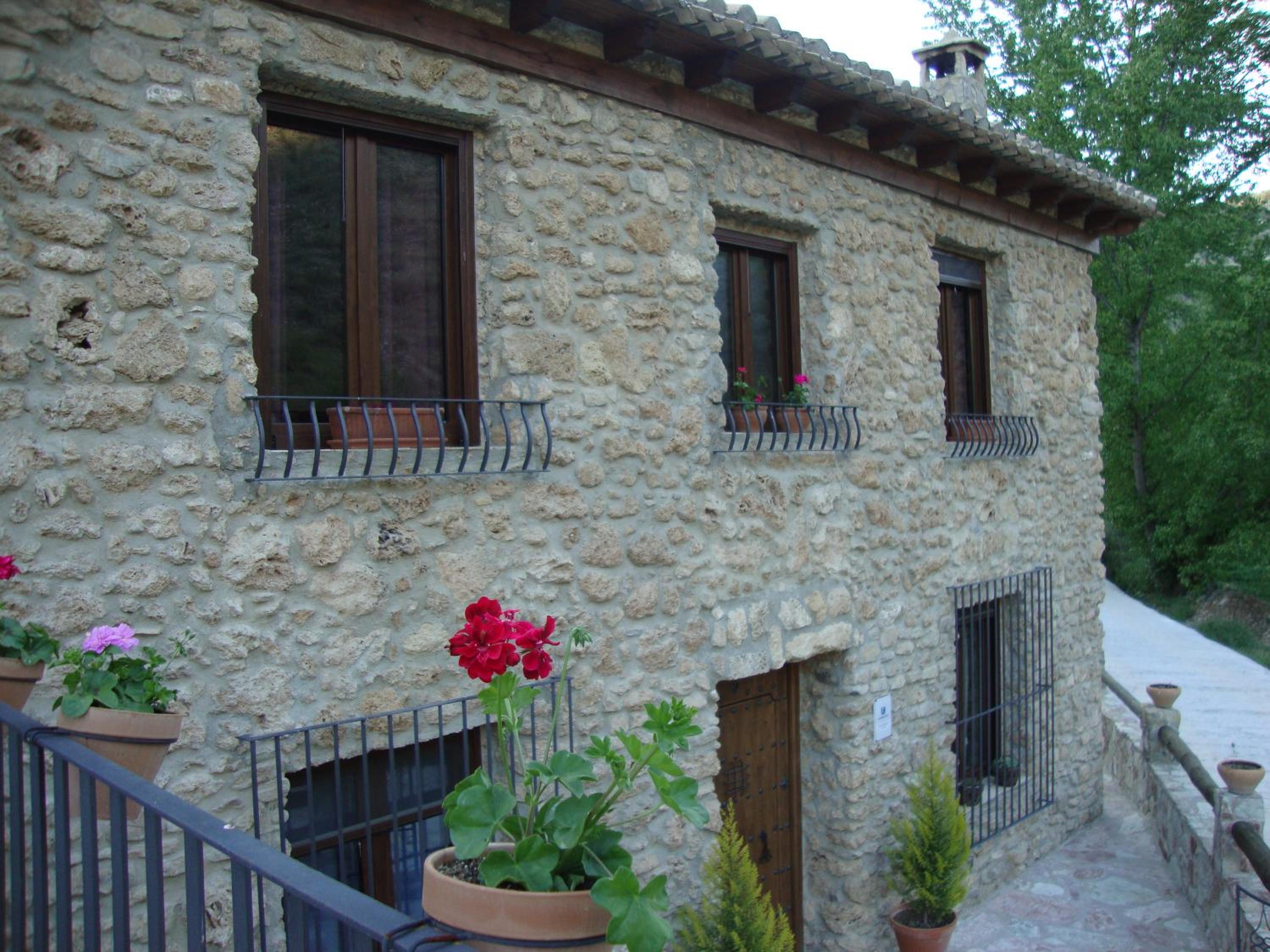 Photo 21