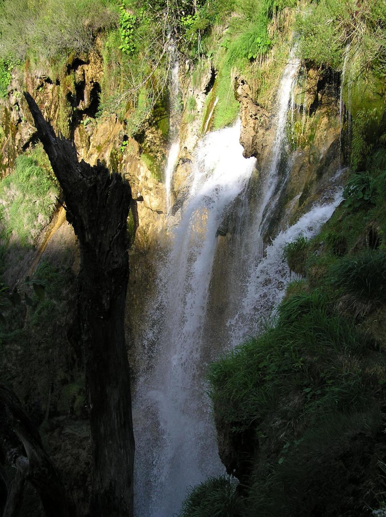 Photo 24